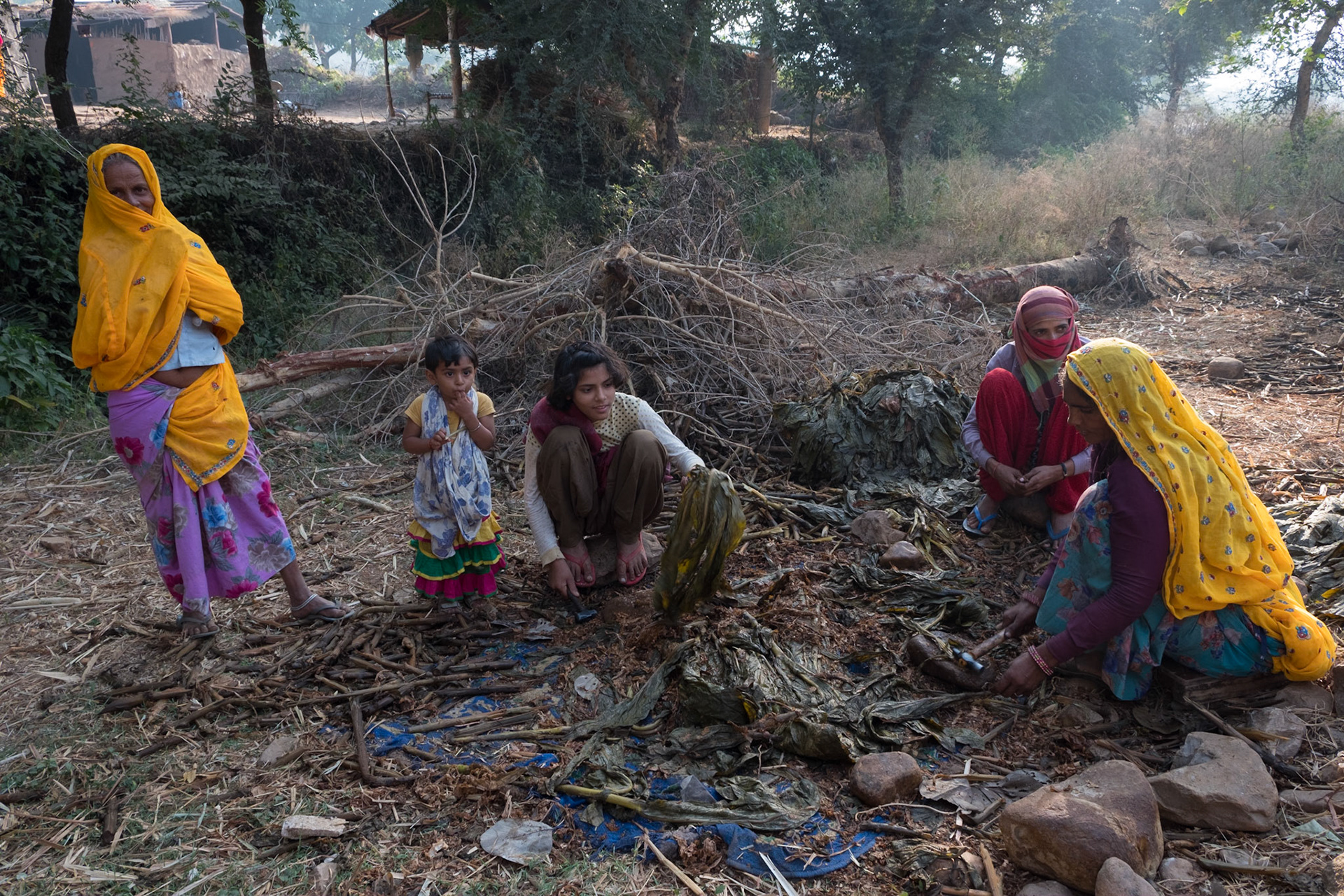 Stripping tobacco leaves