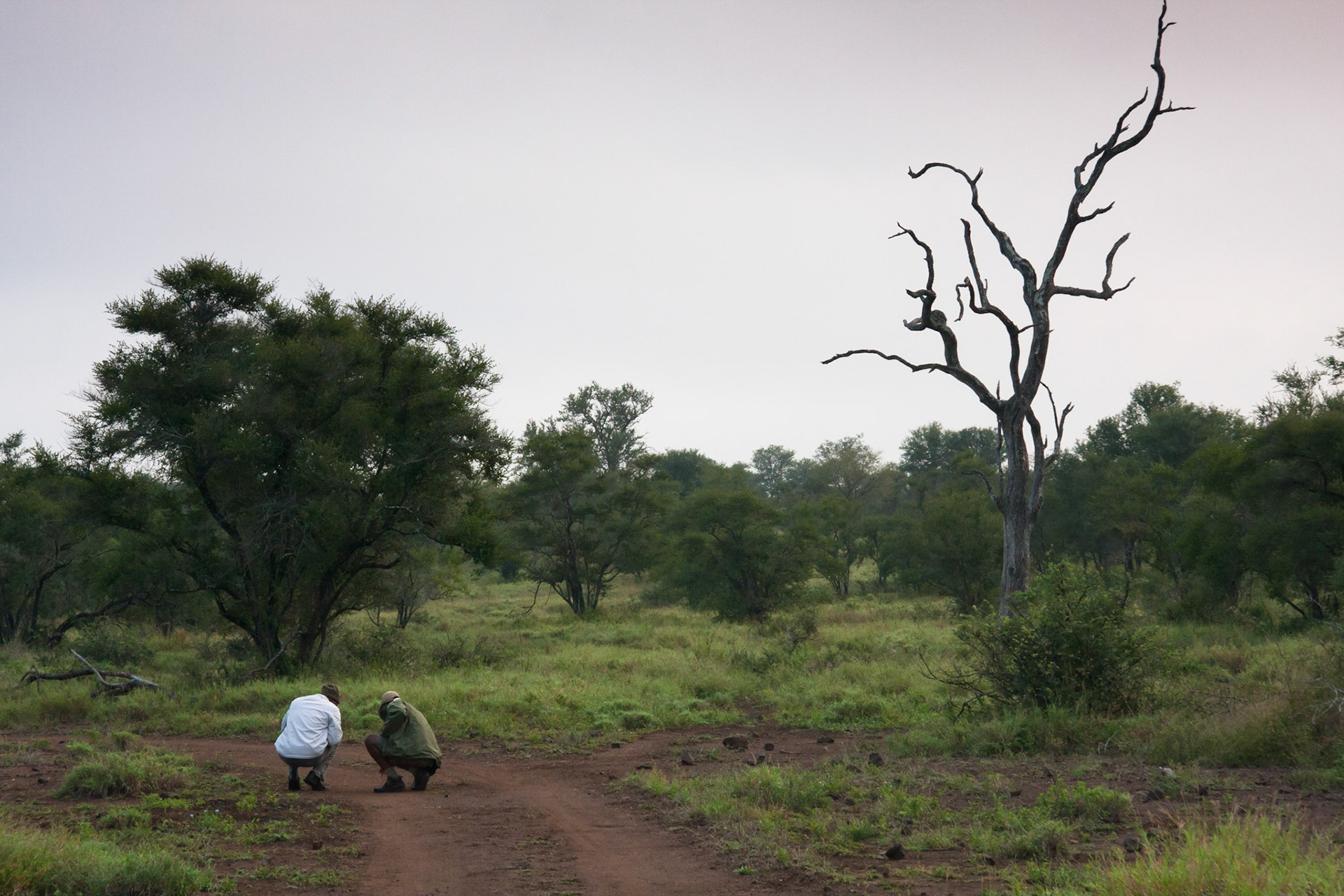 Collen and Andrew looking at lion tracks