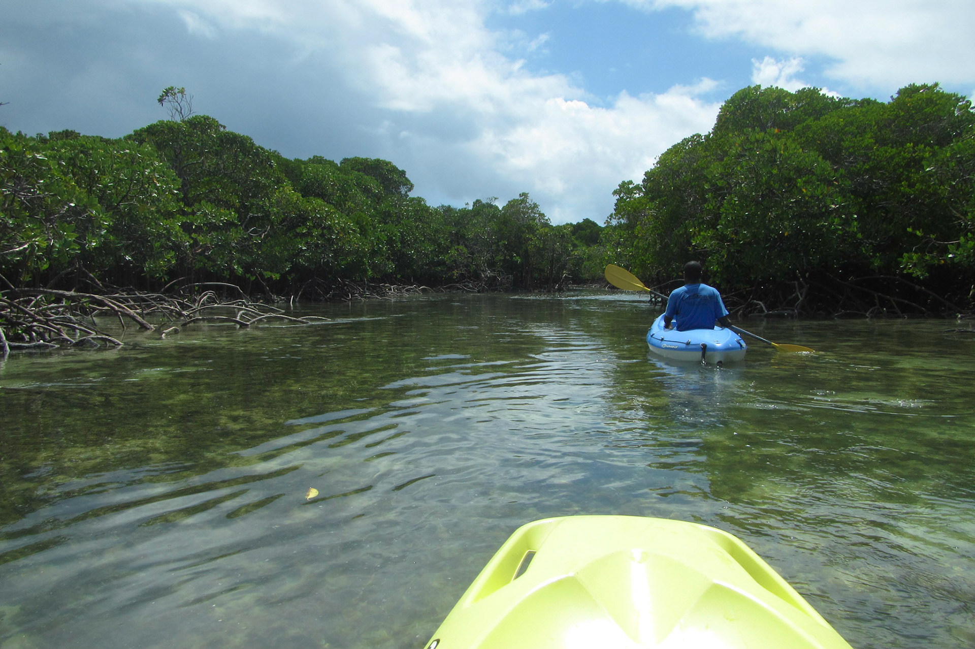 Kayaking up the estuary at Muntu Nkulu
