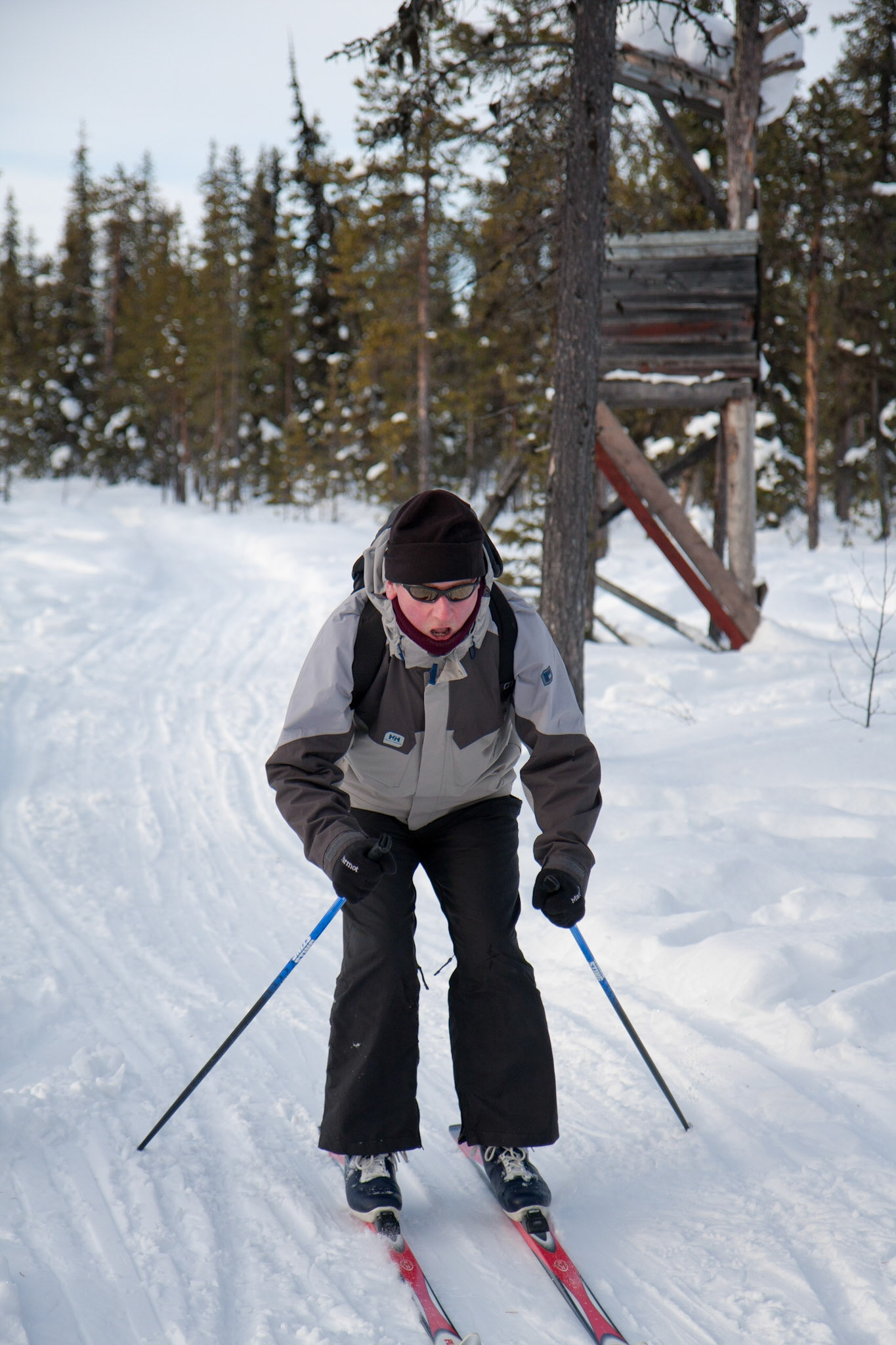 Alex cross country skiing