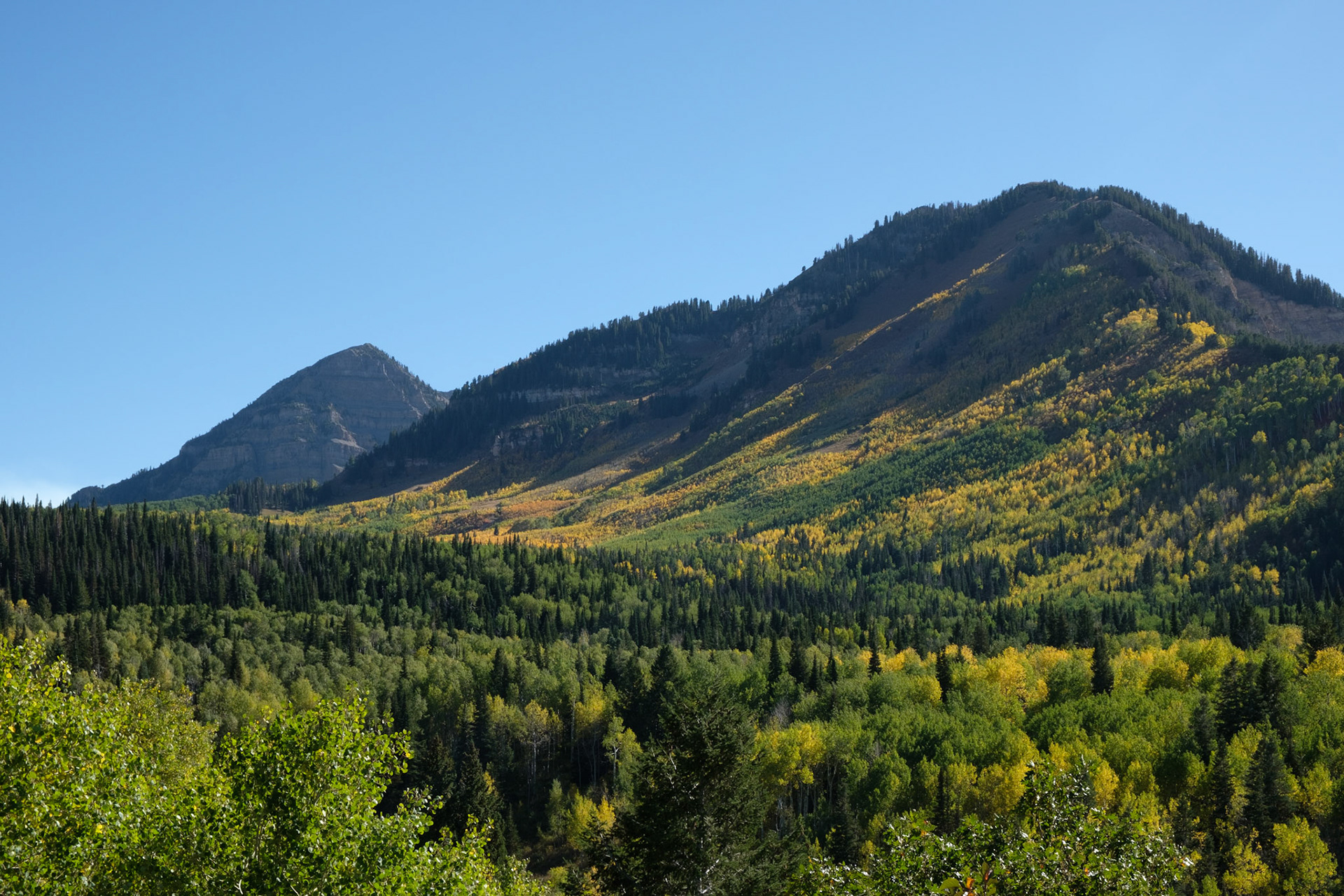 View from Alpine Loop Rd