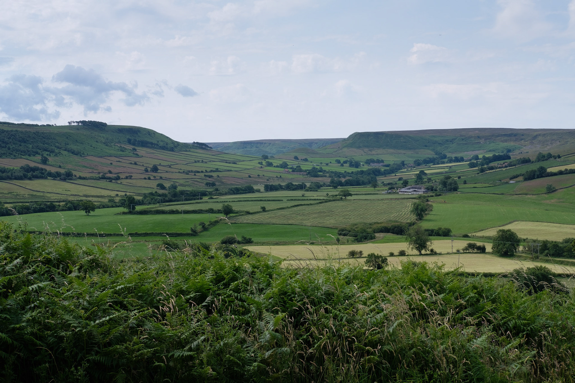 North York Moors near Danby