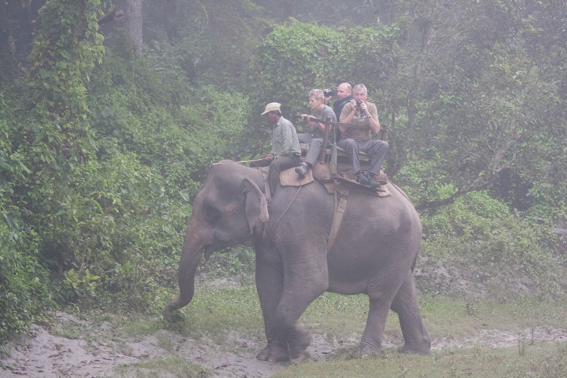 Early morning elephant safari (Andy, Alex and Jane), Chitwan