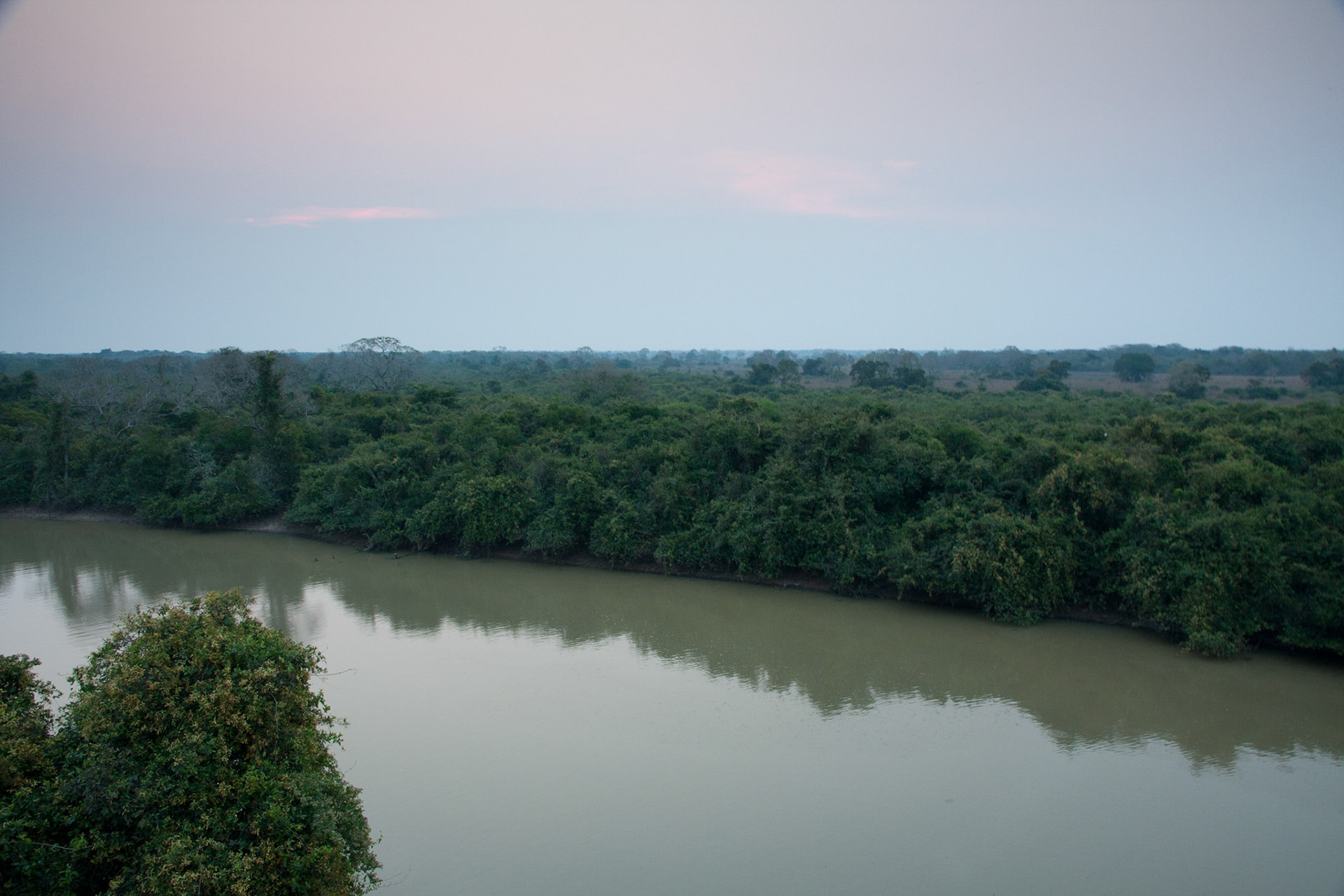 Pantanal from the tower, after sunset