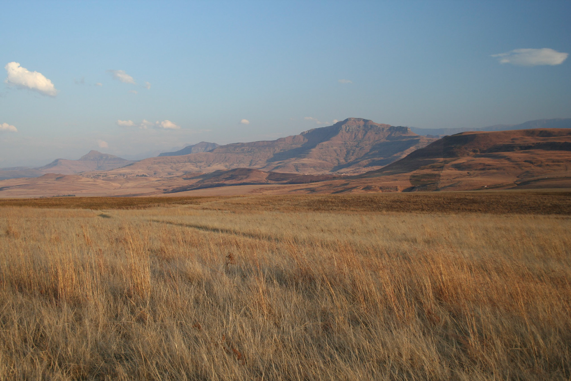 View of Drakensberg from Montusi