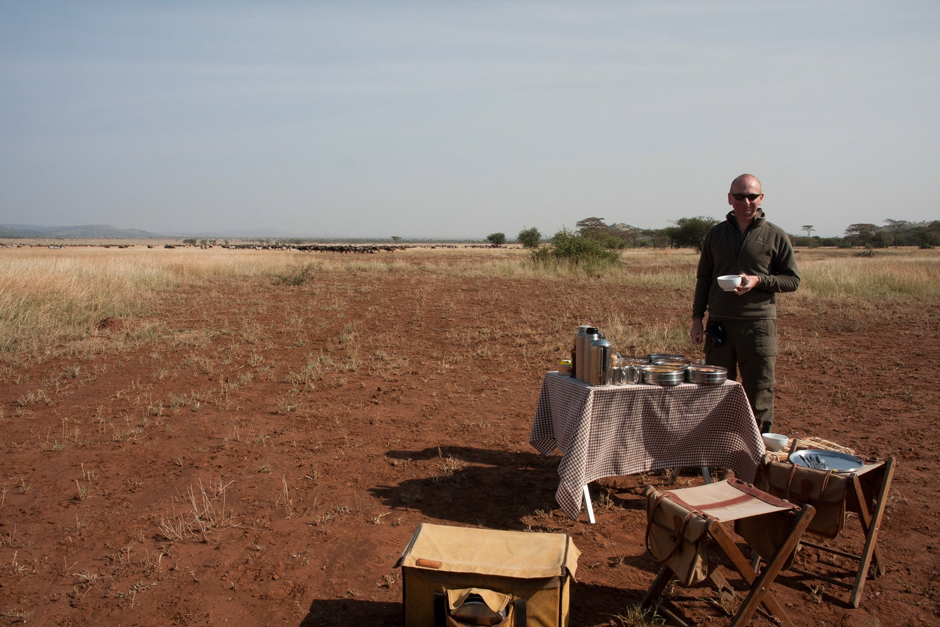 Breakfast by the migration
