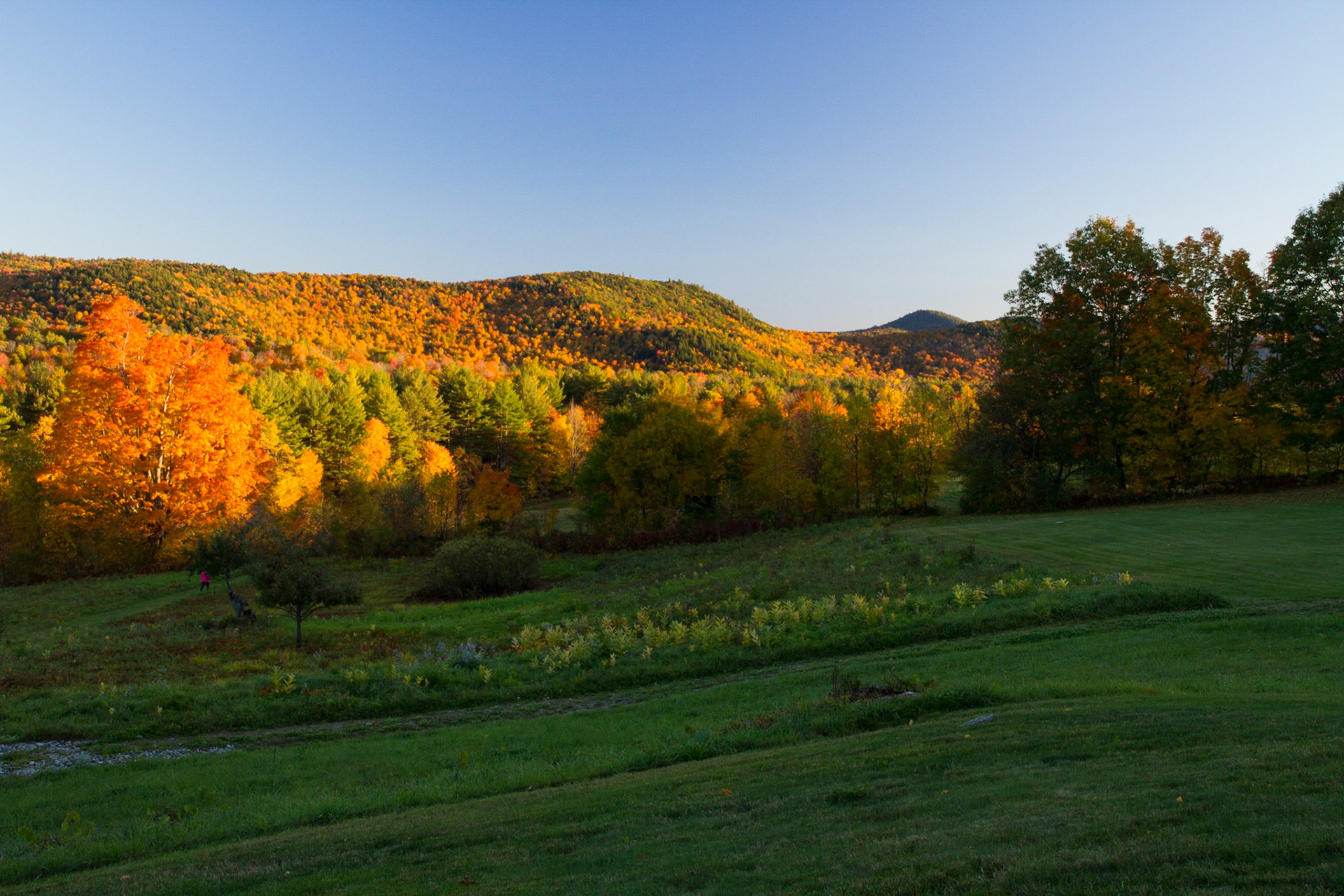 Late afternoon view from room at Windham Hill Inn