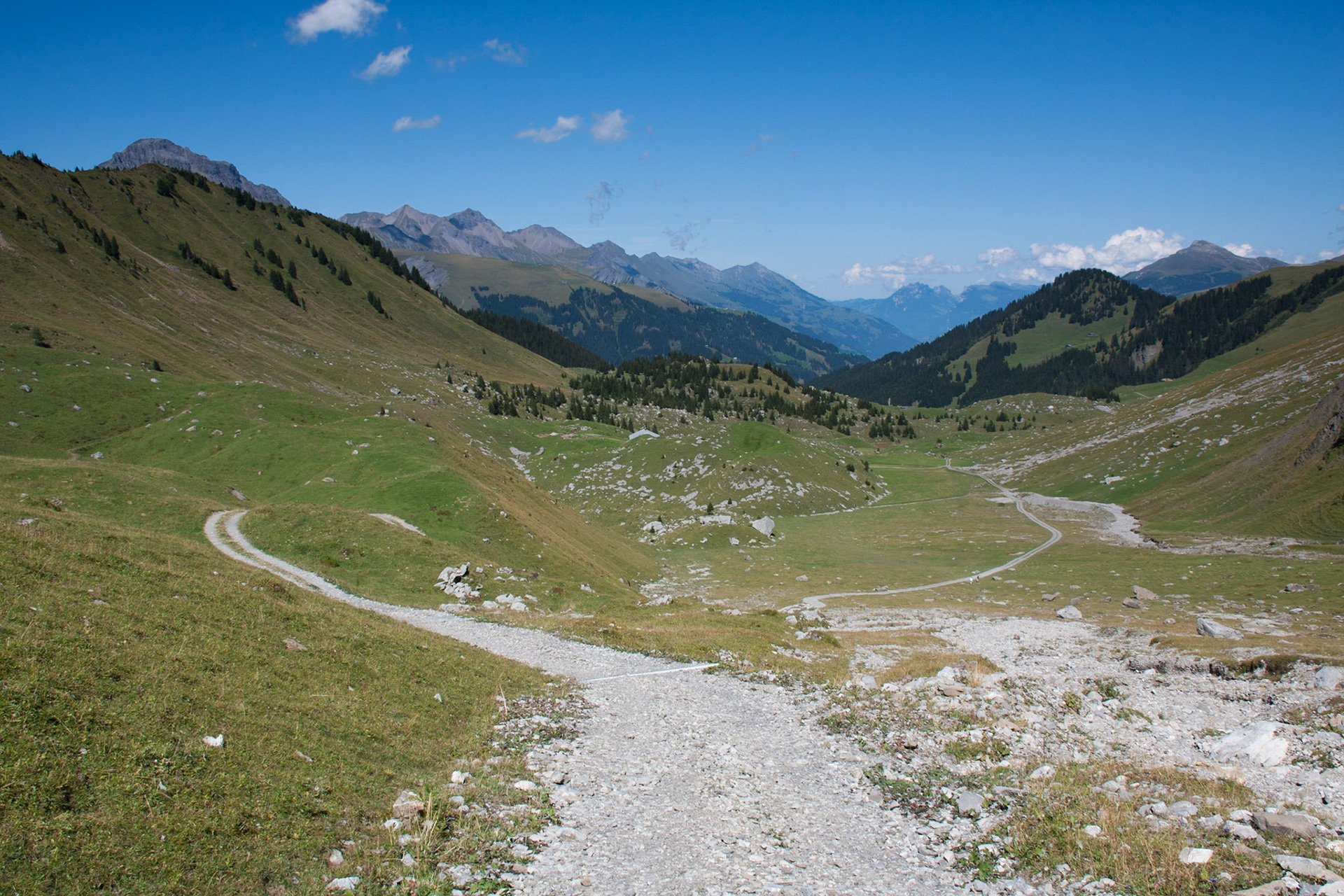 The long walk downhill: Luegli - Butschi