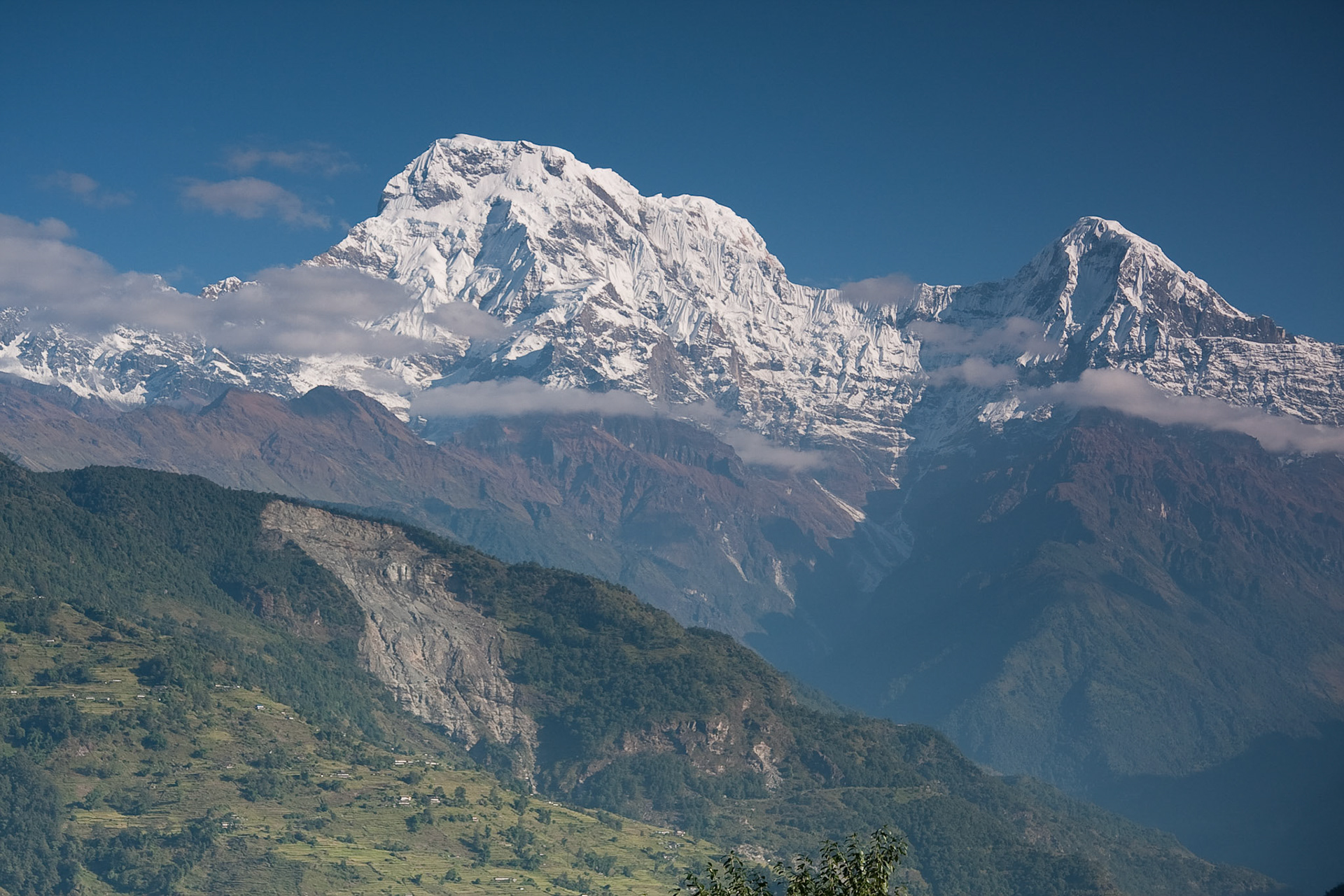 Annapurna Sth and Hiunchuli from Gurung Lodge