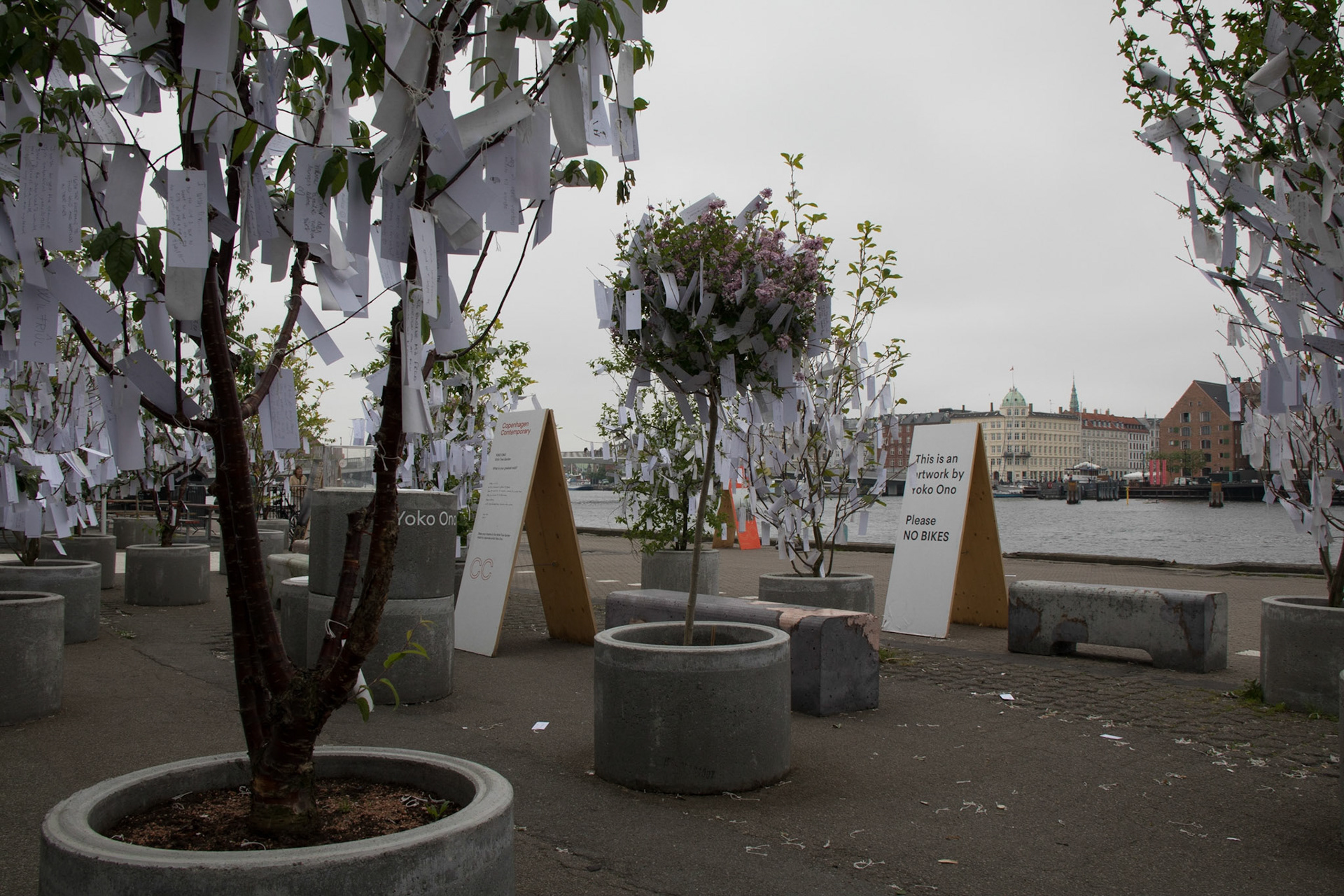 Yoko Ono's Wish Tree Garden