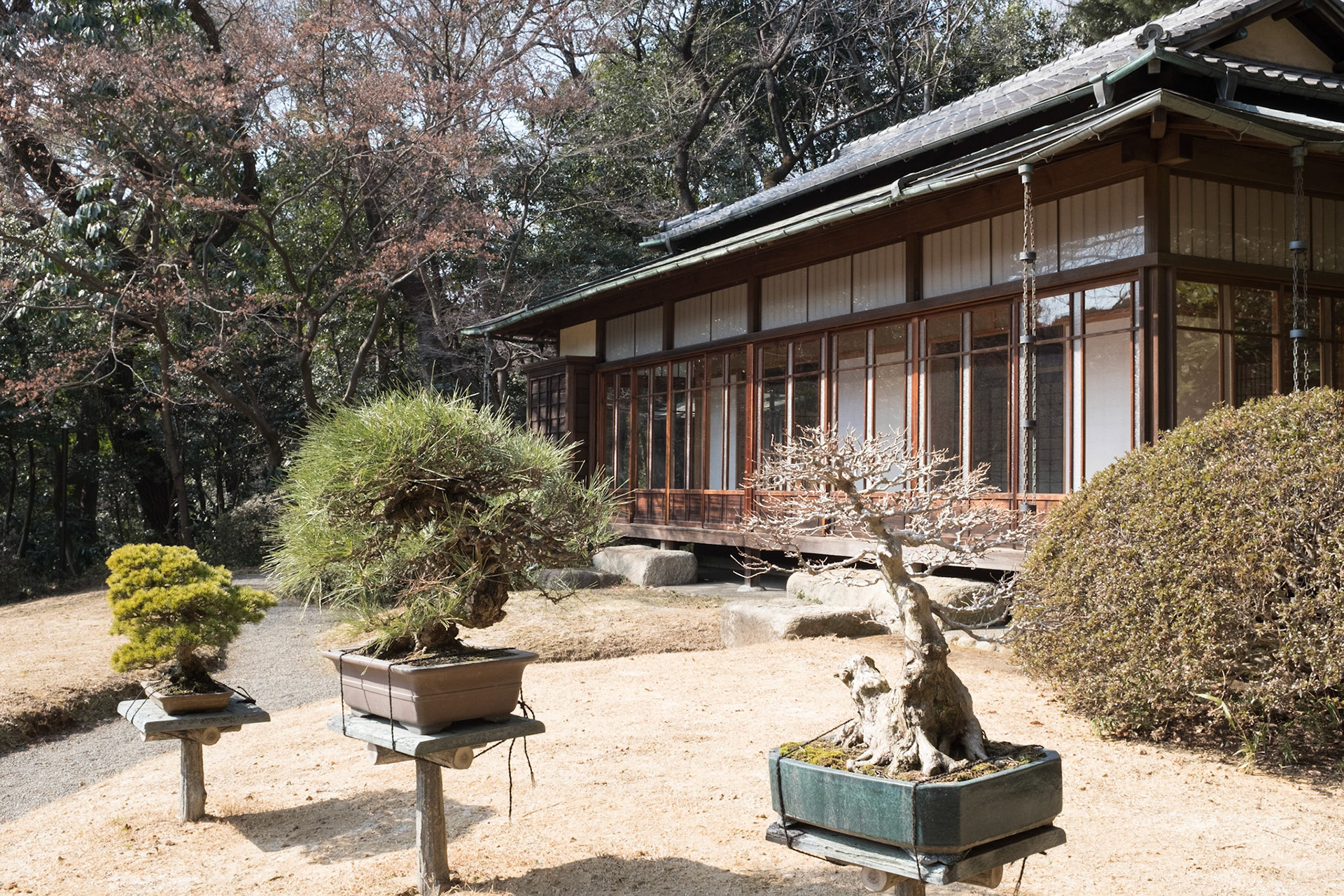 Tea house, Meji Jingu, Tokyo