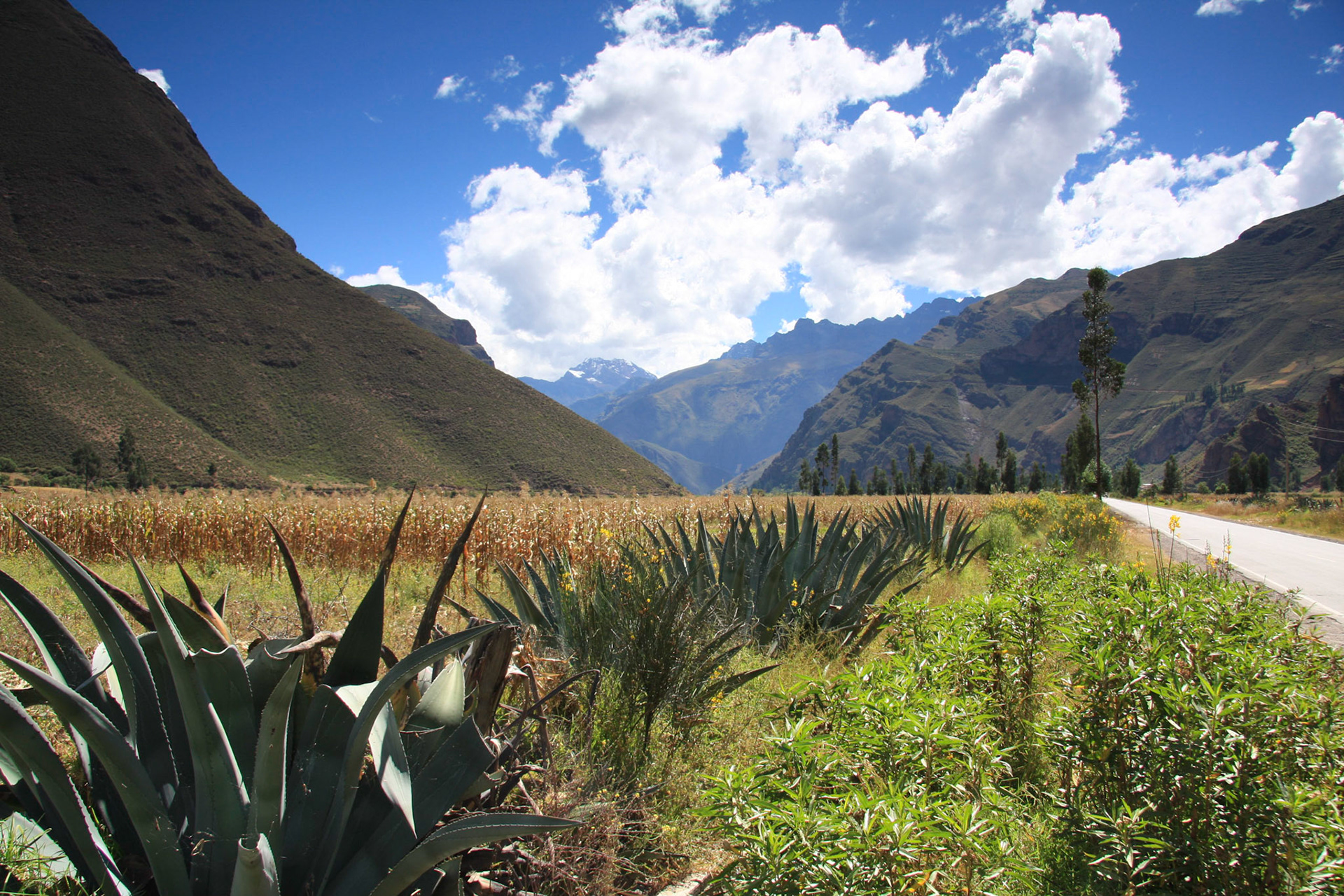 Sacred Valley