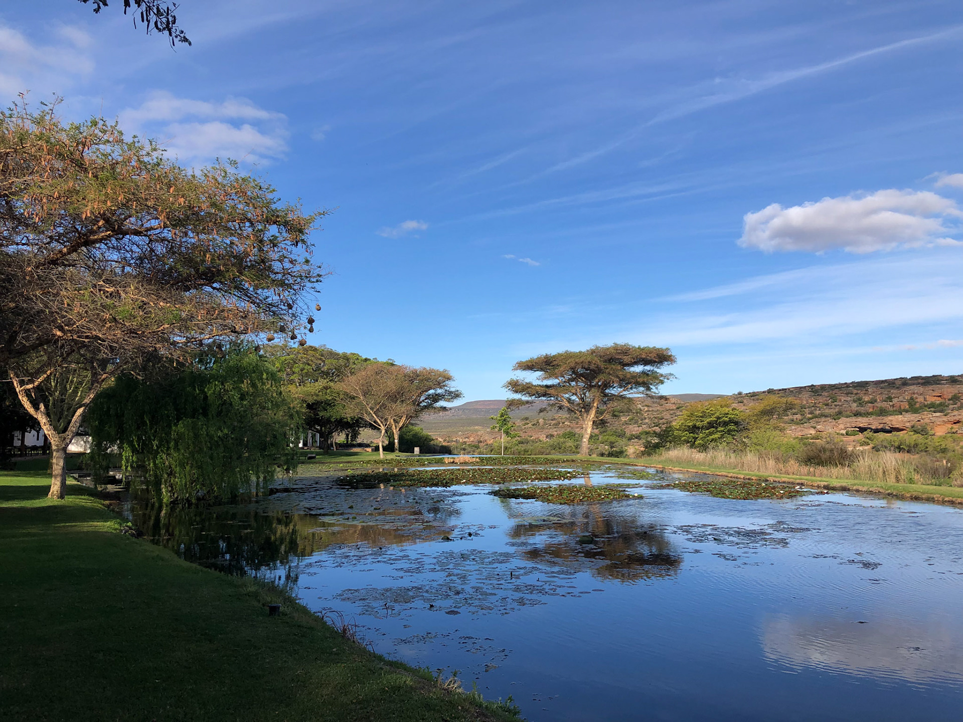 Pond at Bushmans Kloof