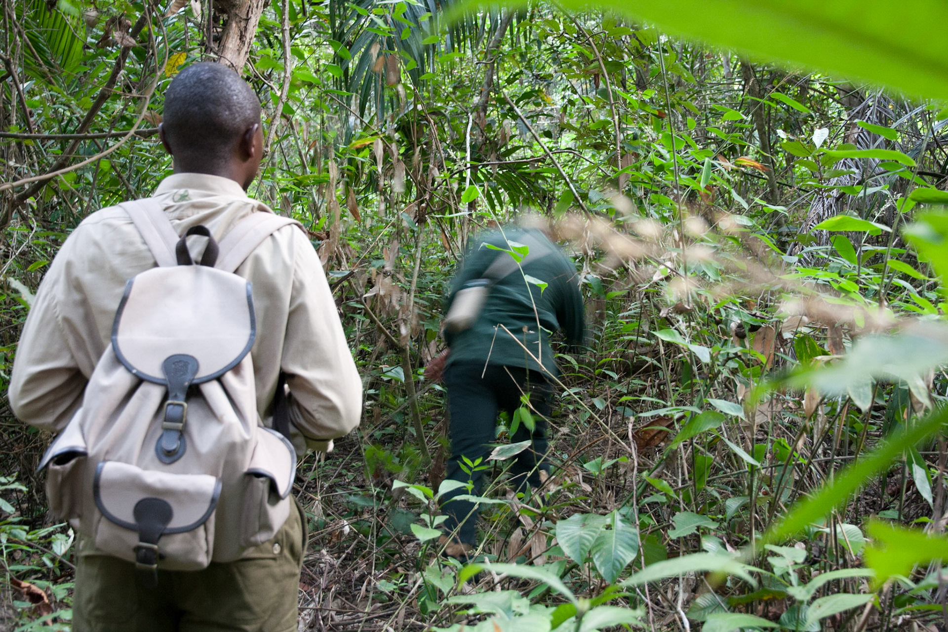 Following our ranger and guide