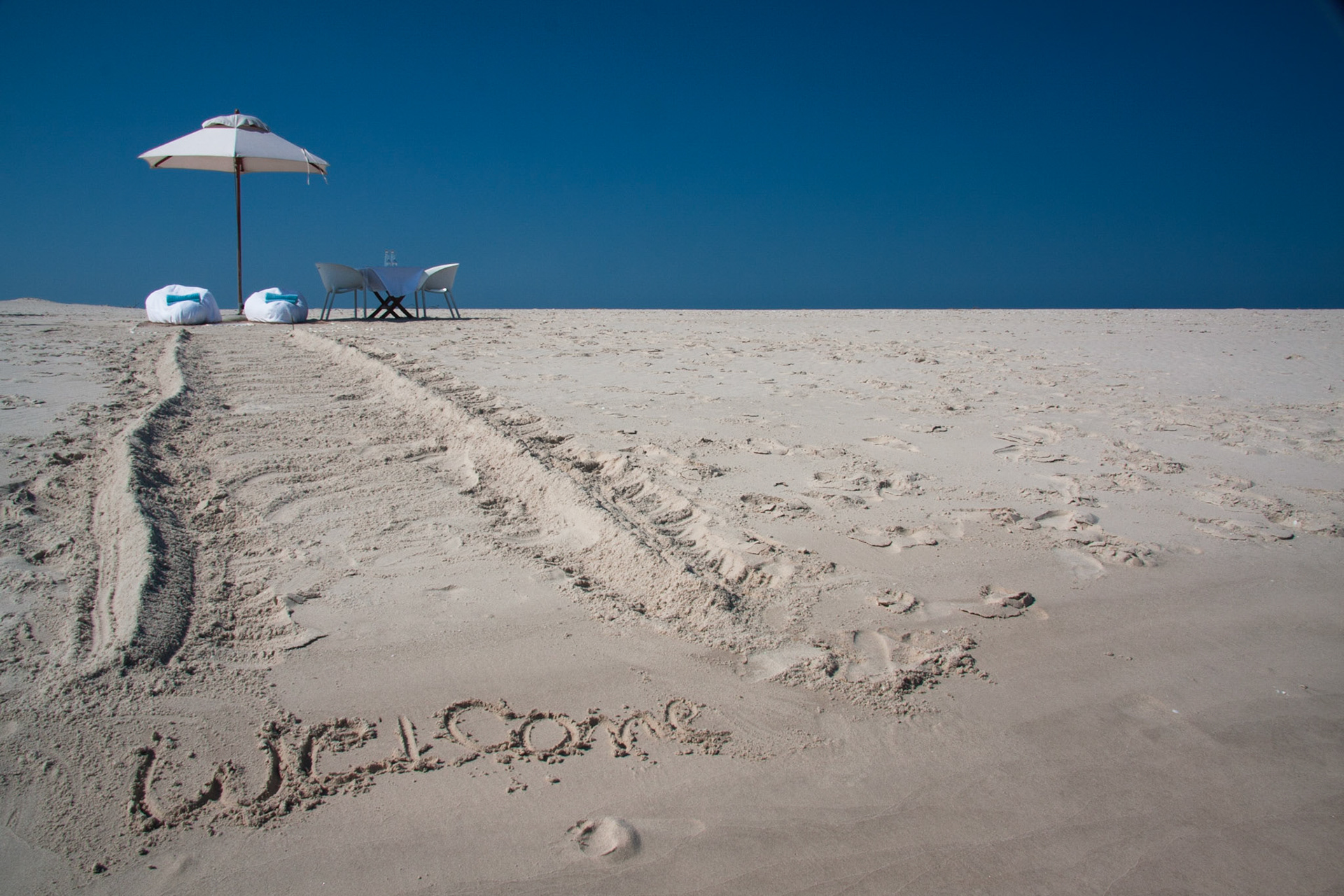 Welcome to Pansy Island