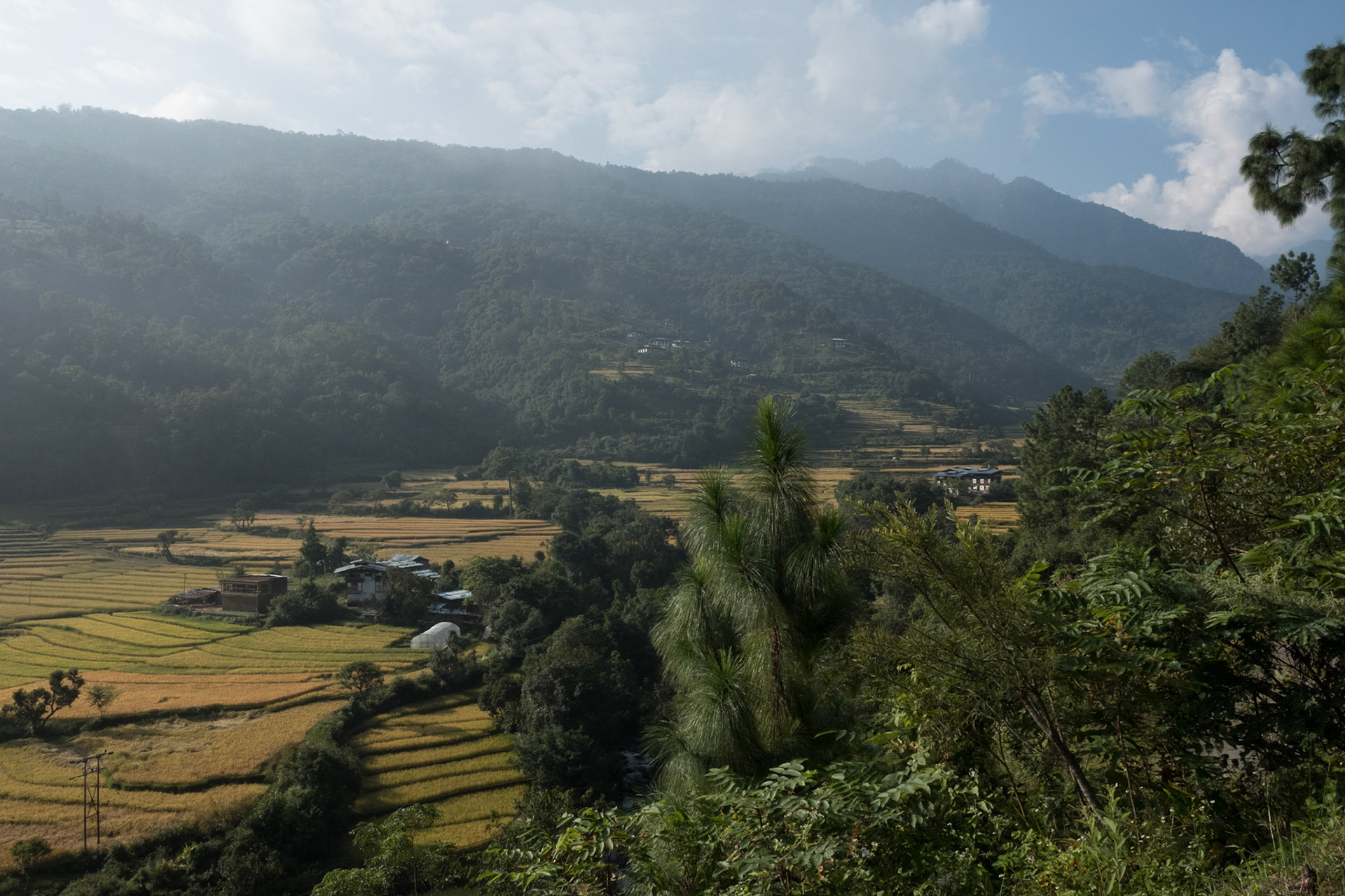 View from Uma Punakha