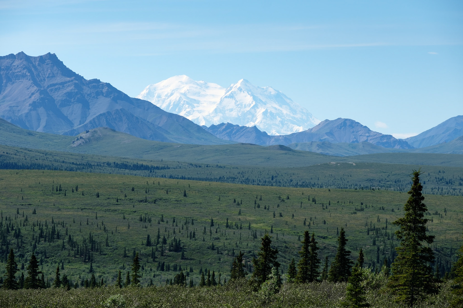 First view of Denali in the Park