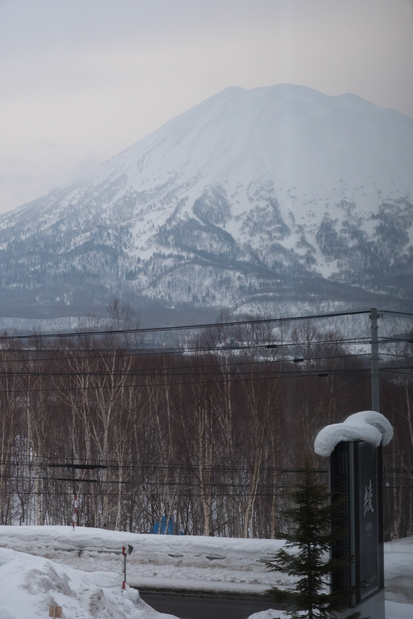 Mt Yotei at sunrise from our room