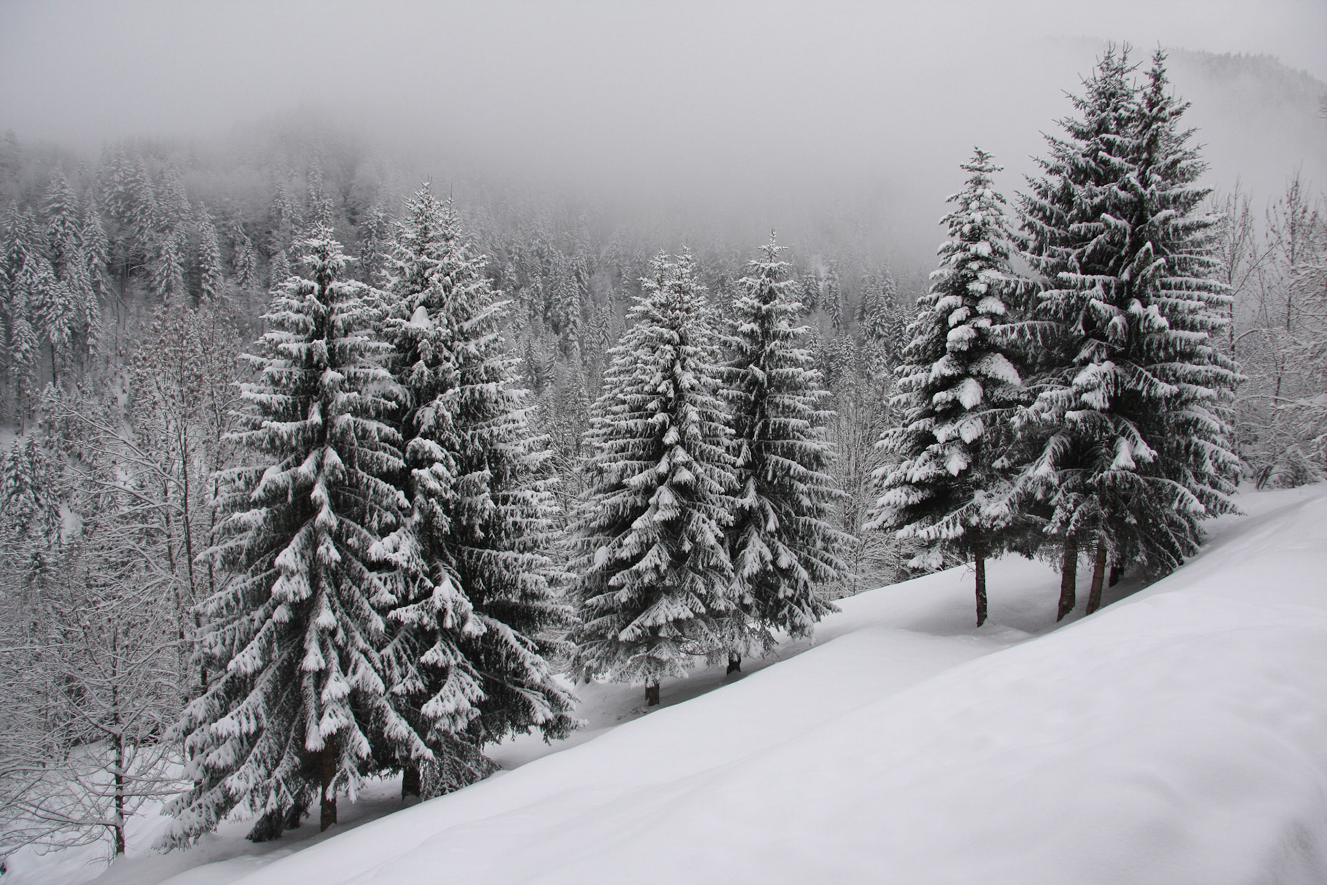 View from our chalet