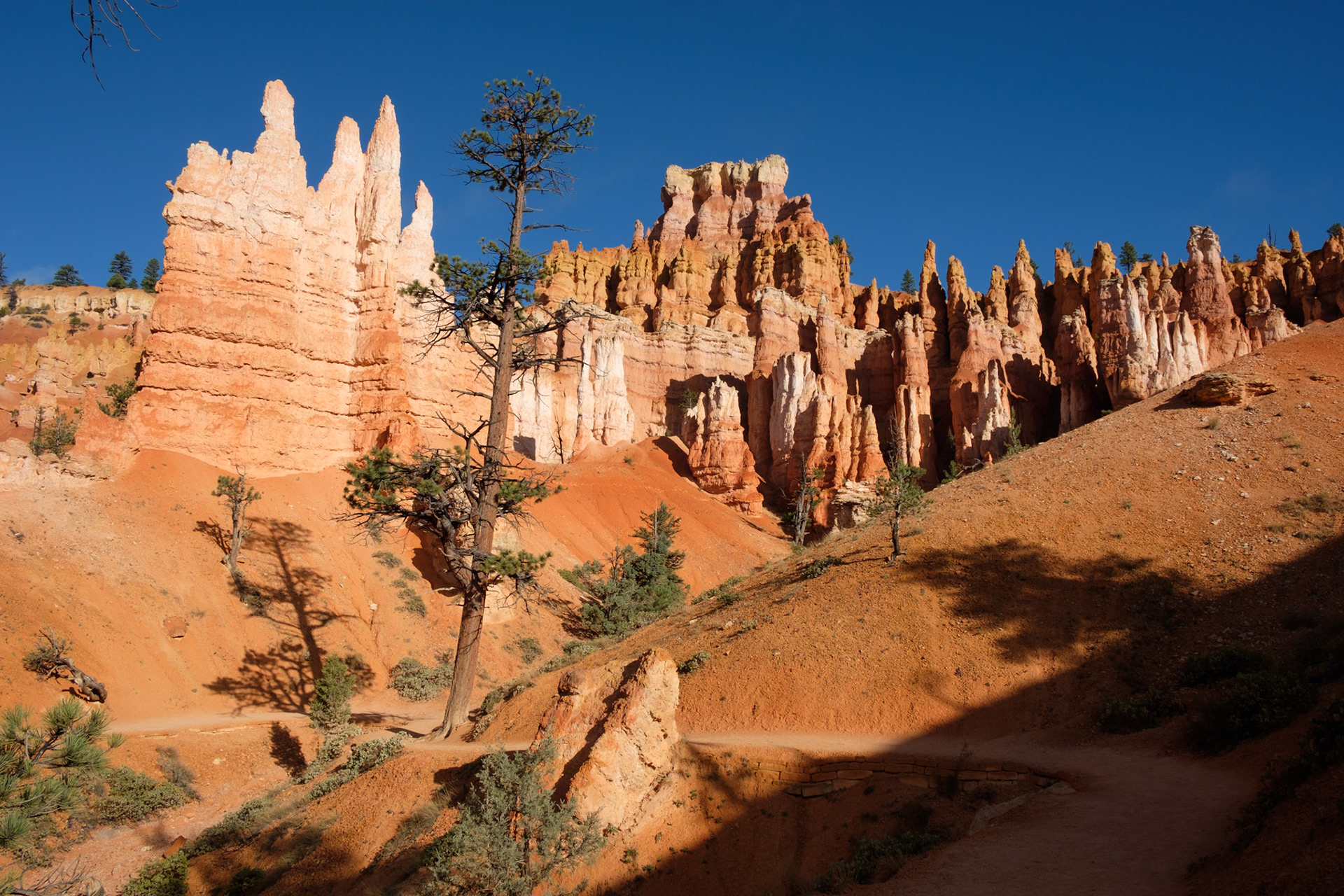 Hoodoos, Queen’s Garden Trail