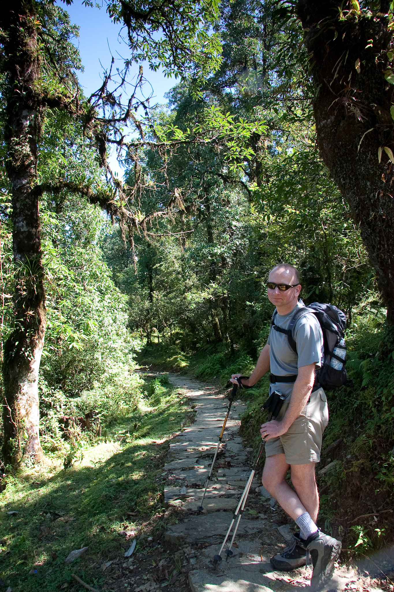 Day 5 trek Gurung Lodge to Basanta Lodge, Dhampus