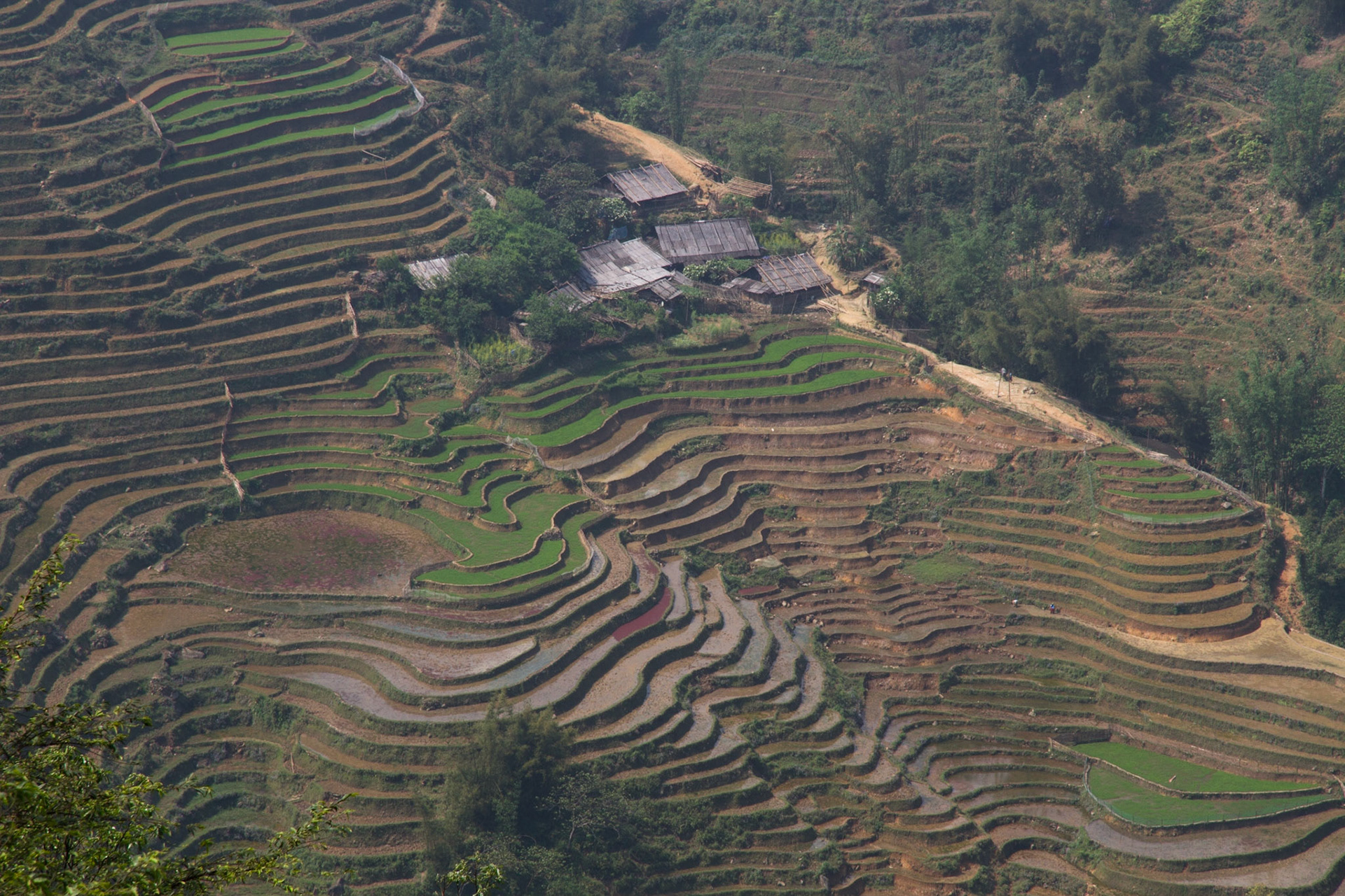 Trekking: T Linh Ho, Lao Chai and Ta Van villages