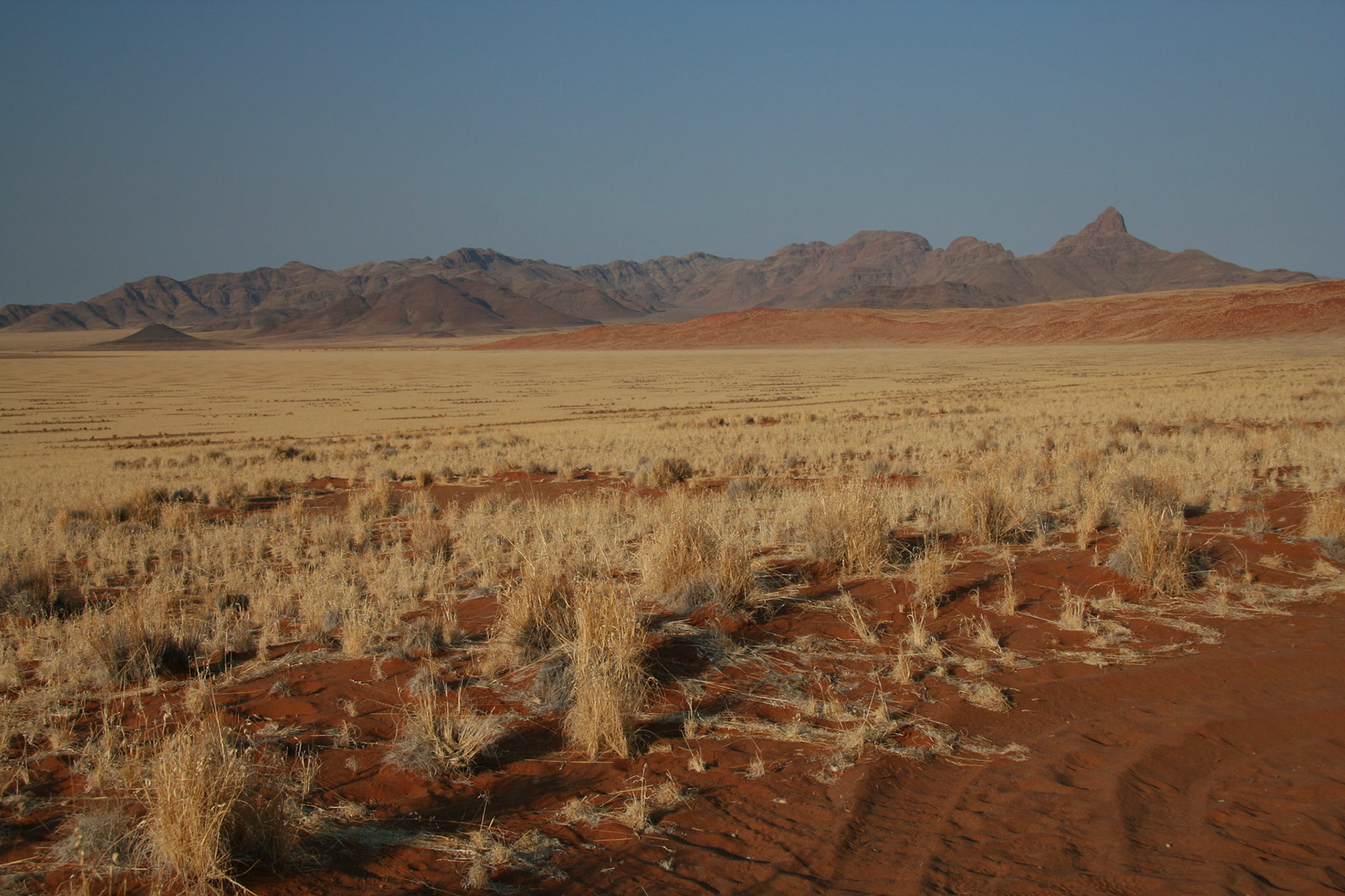 Views around Sossusvlei Mtn Lodge (NamibRand Nature Reserve)