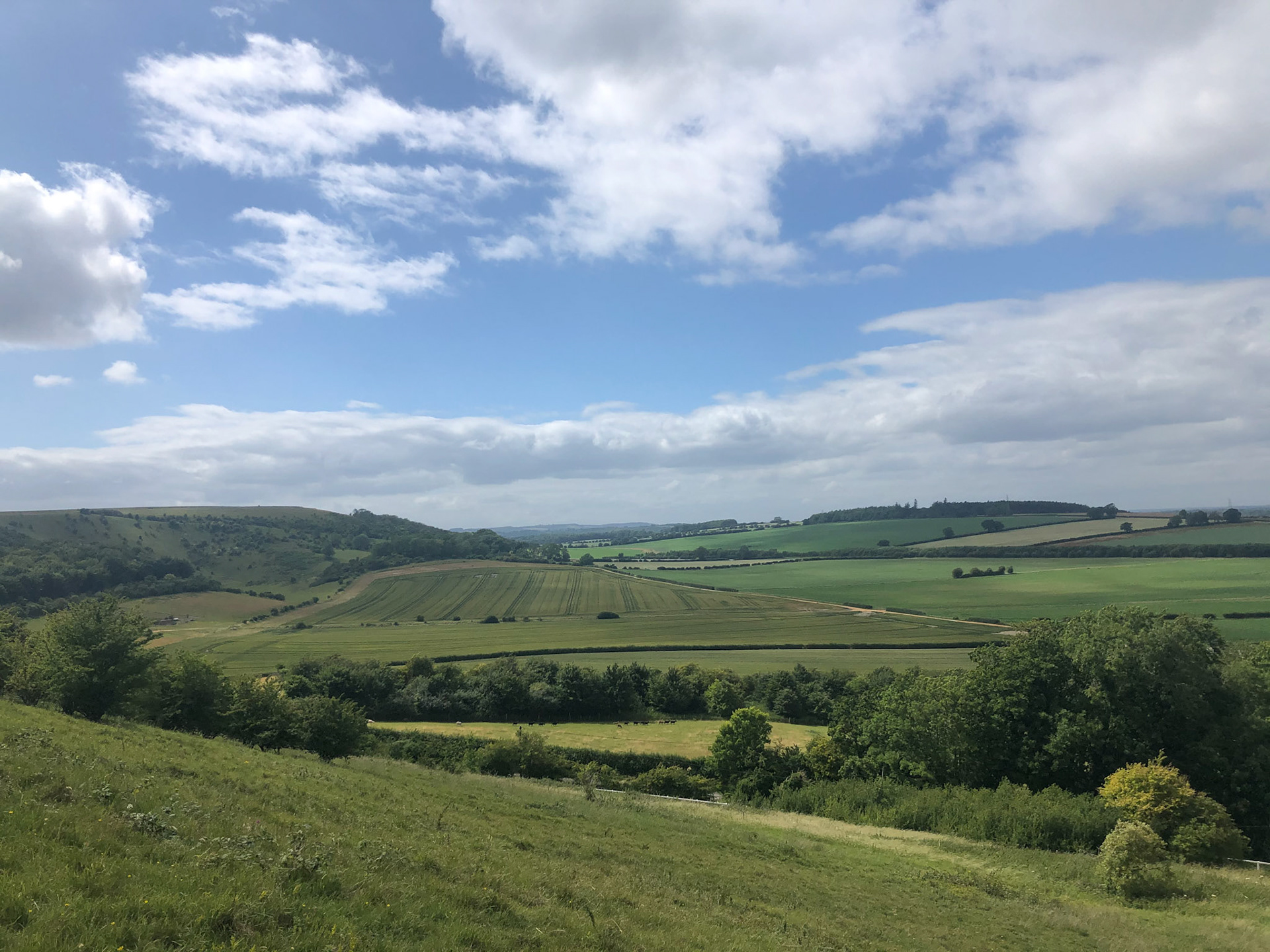 Watership Down on the left