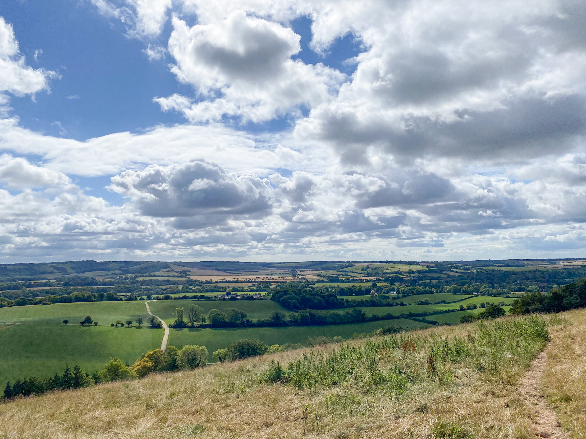 View from Beacon Hill