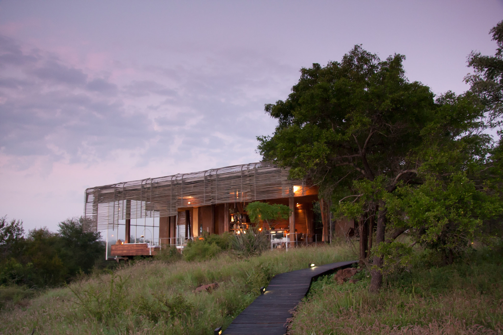 Lebombo long bar at dawn