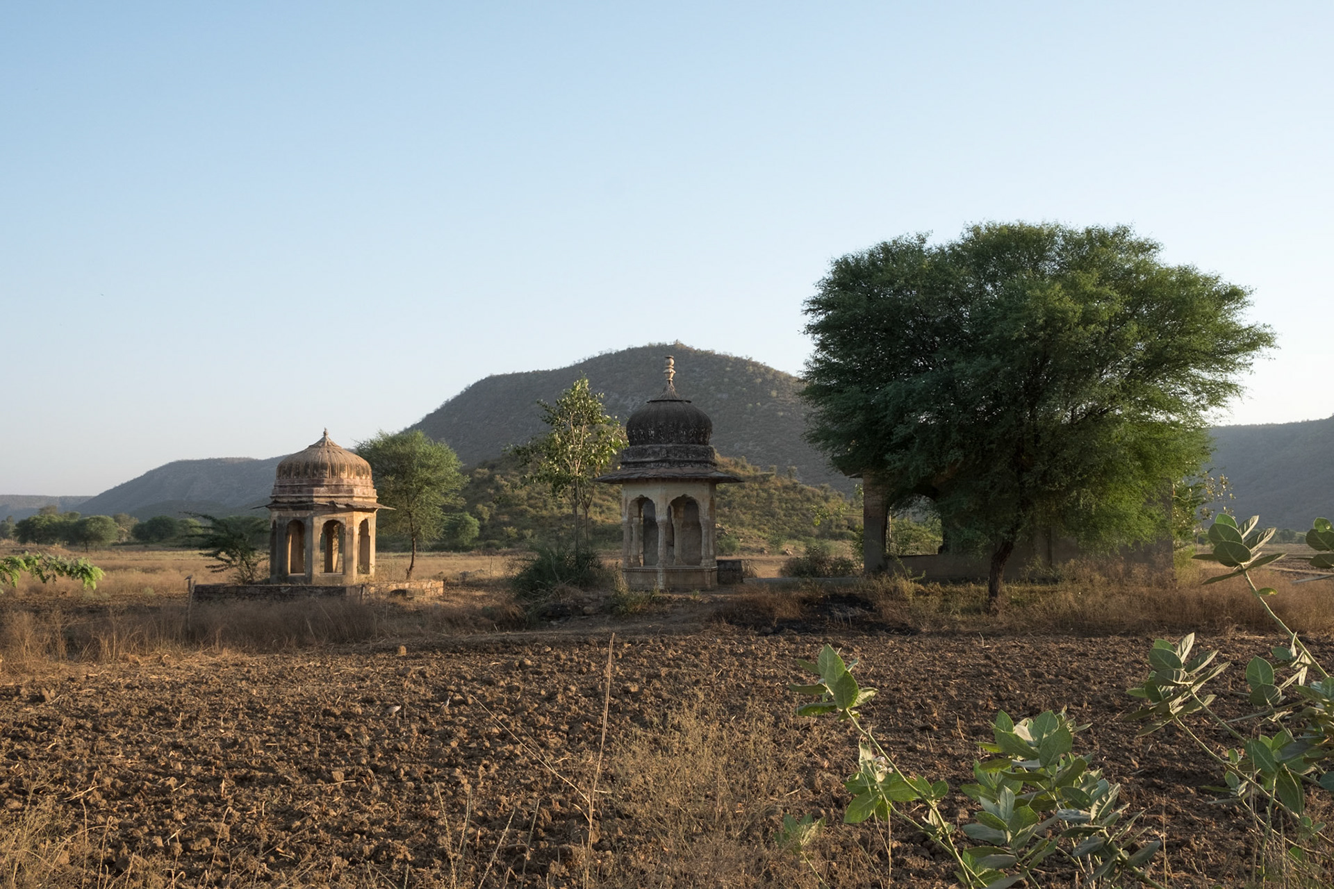 Rural Rajasthan