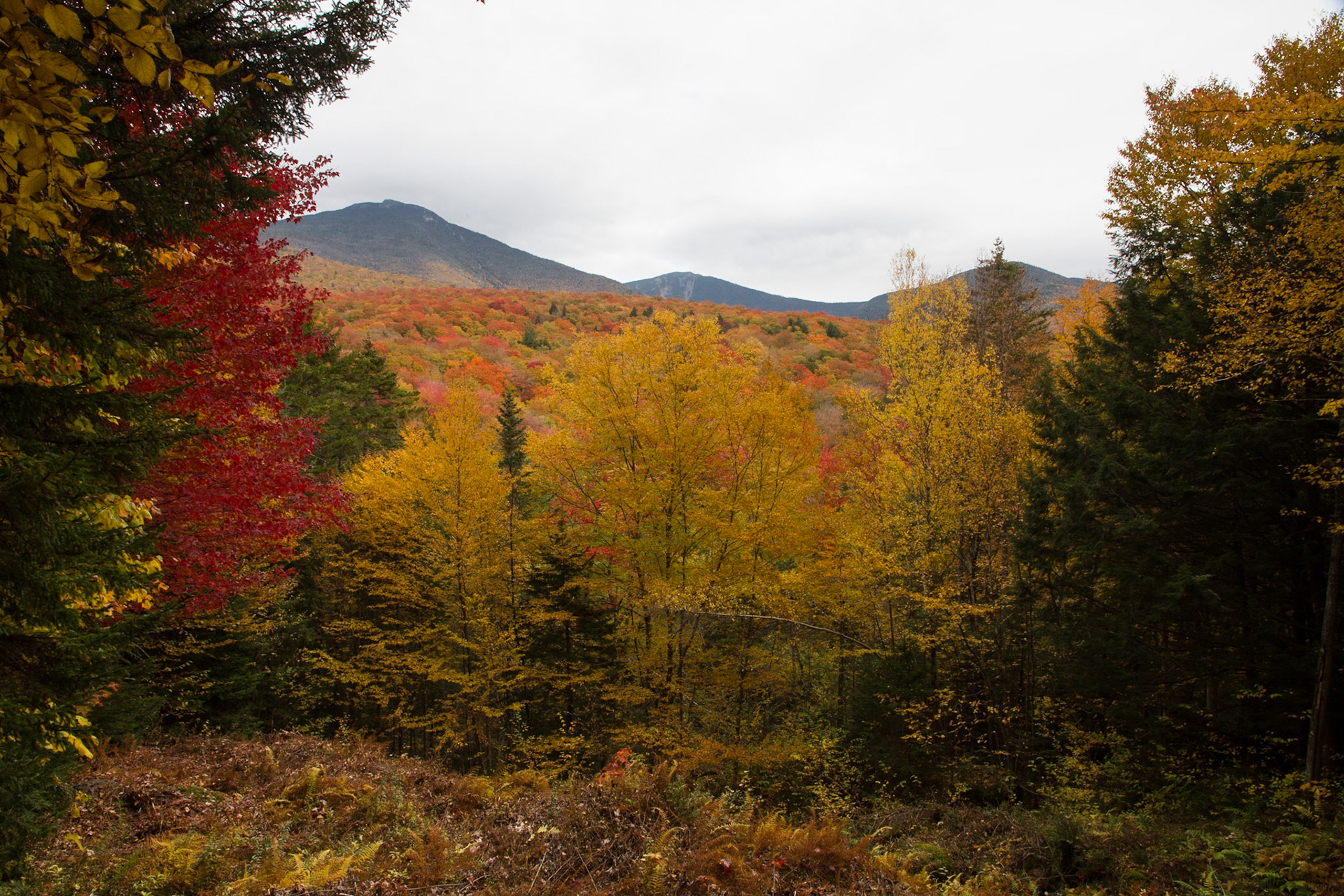 Mt Liberty, Mt Flume and Mt Osseo