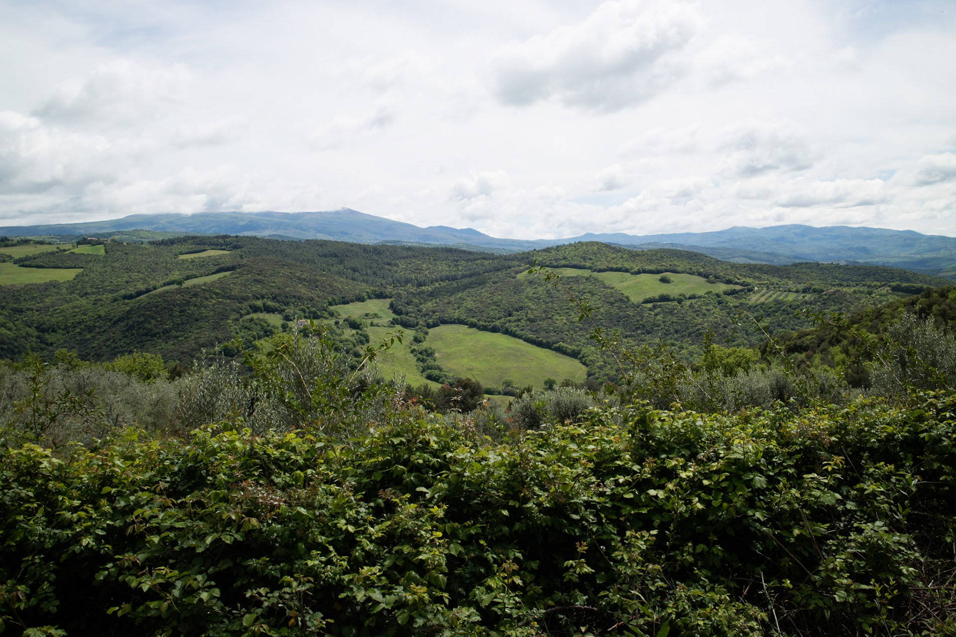 View towards Mt Amiato