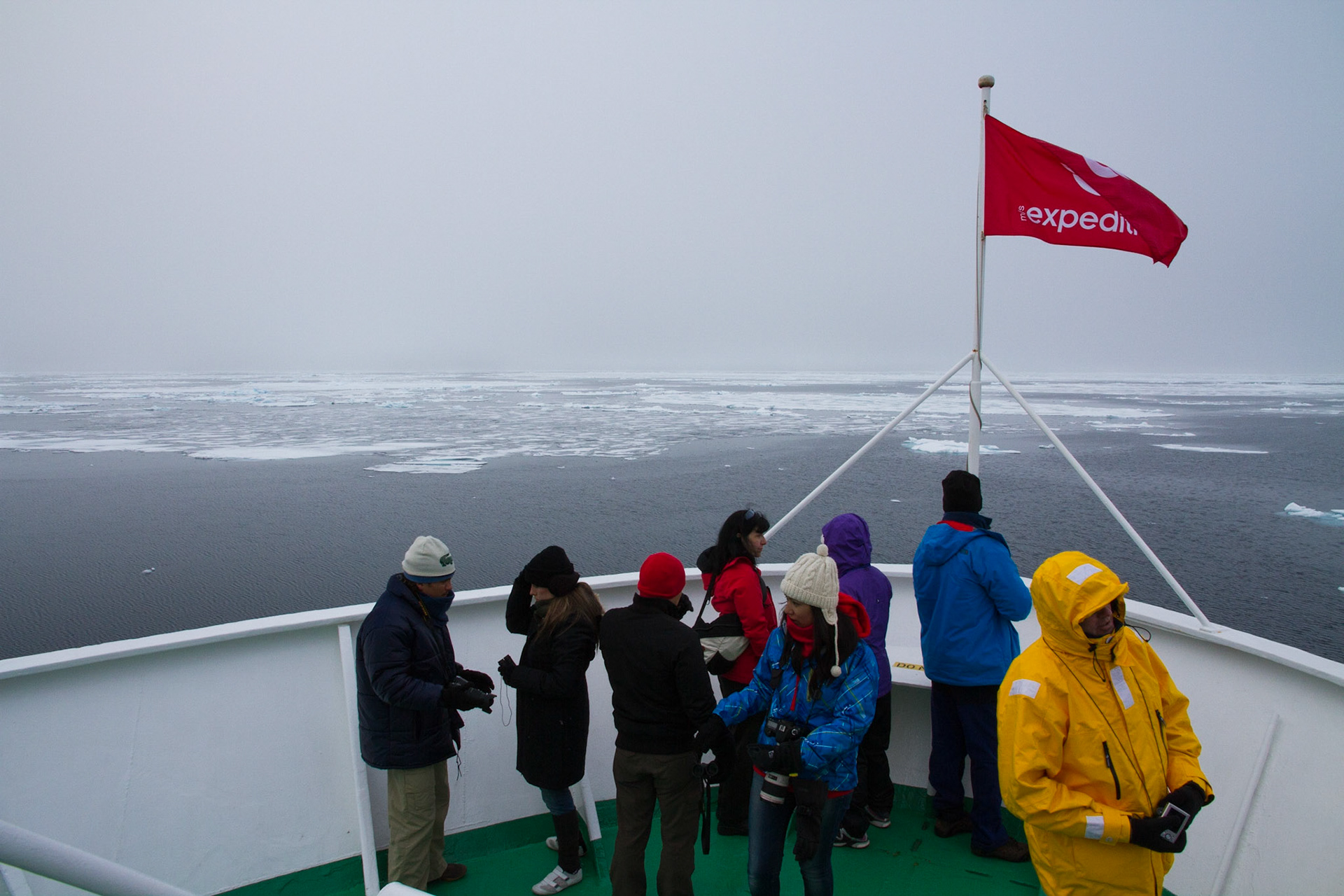 Searching for polar bears at 80 degrees north