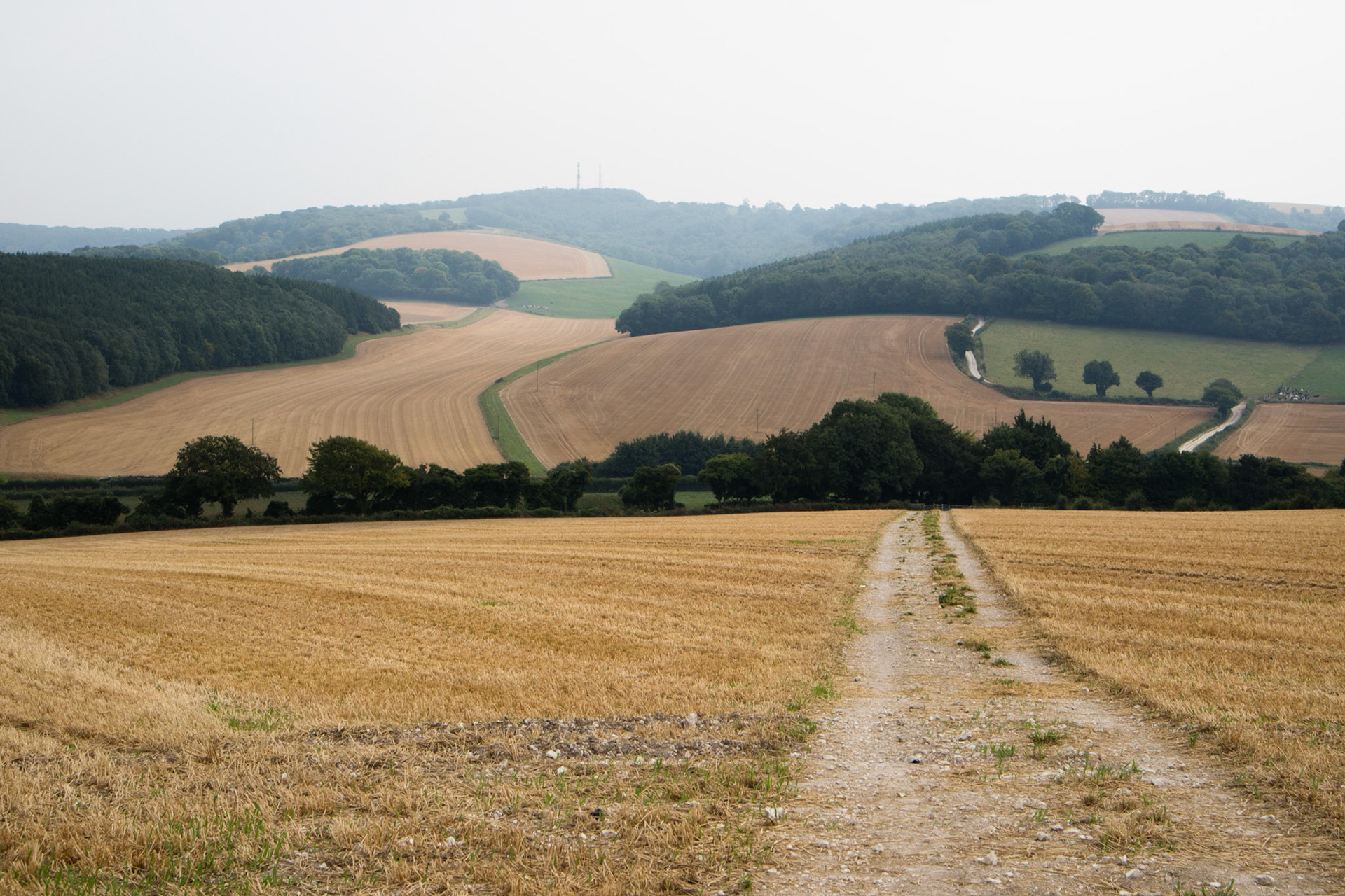 South Downs Way: Cocking to Amberley