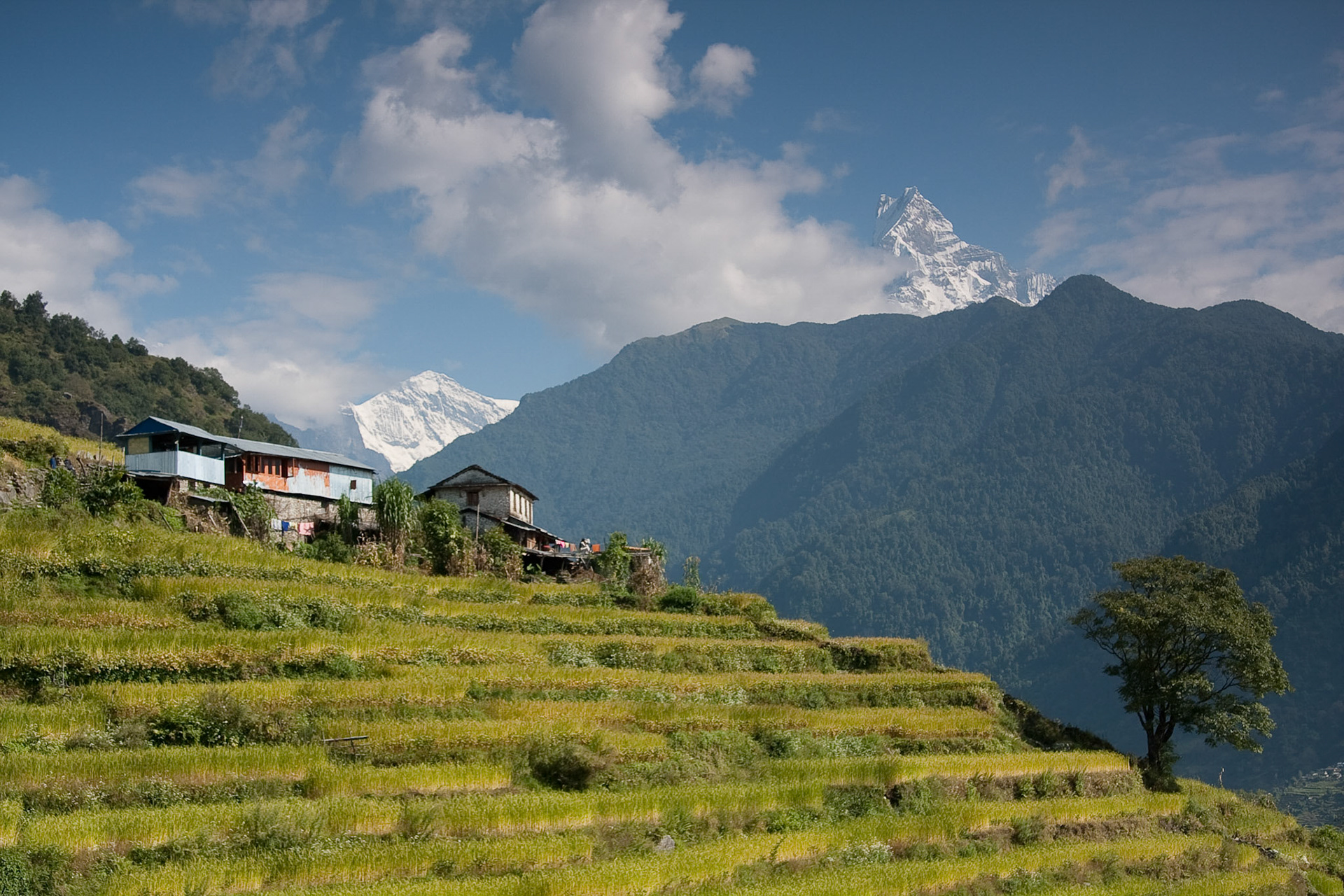Day 4: Himalaya Lodge to Gurung Lodge (back across the river!)
