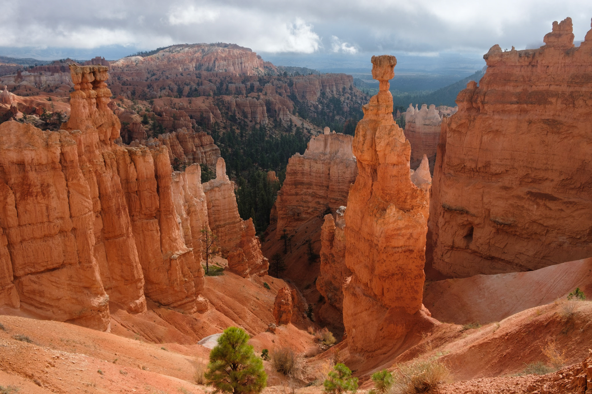 Thor’s Hammer, from Twin Bridges Trail, Bryce Canyon