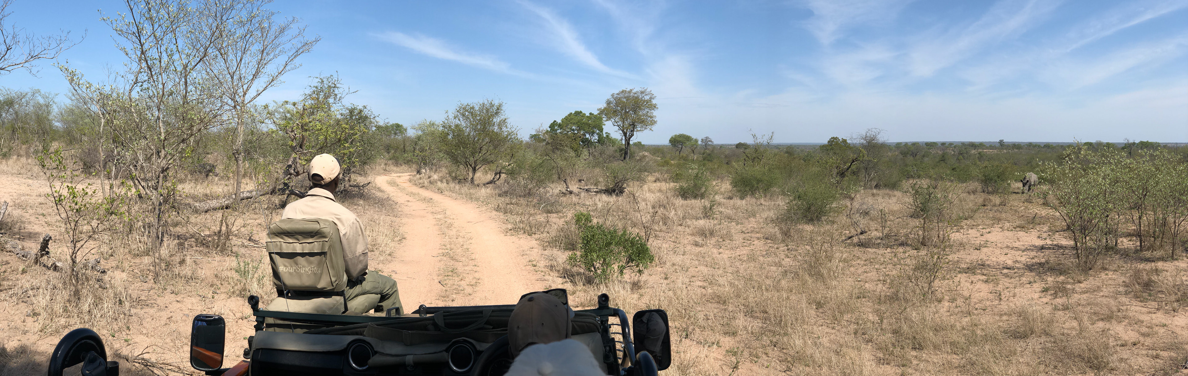 Panoramic view (with 3 rhino!)