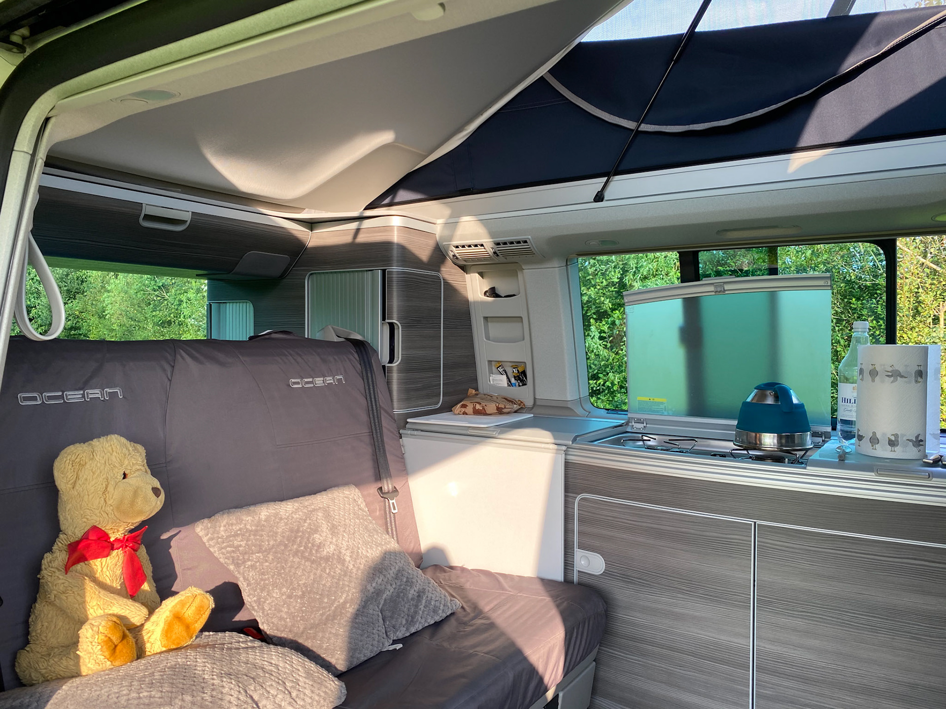 Bertie in the campervan