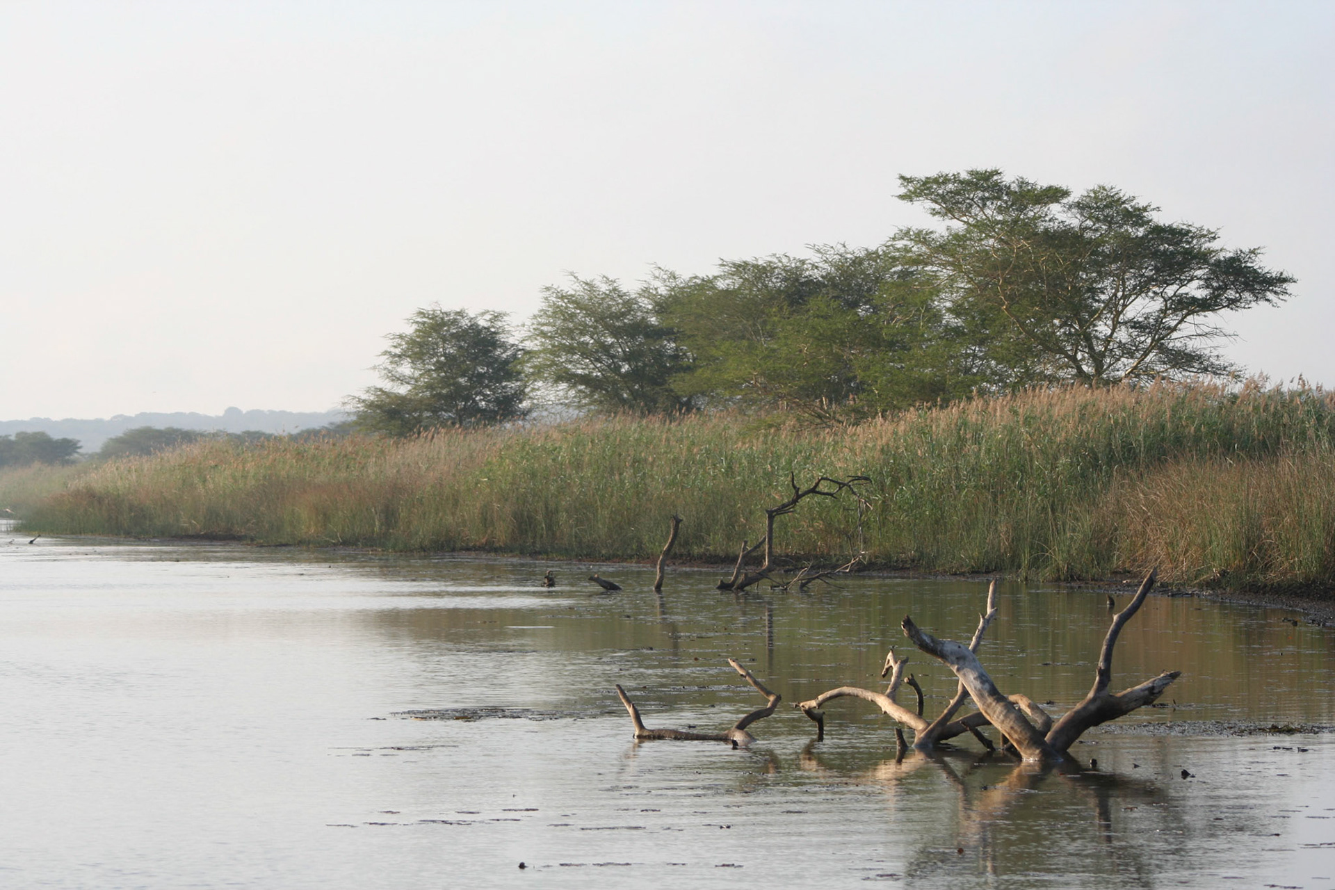 Mzinene River, Phinda
