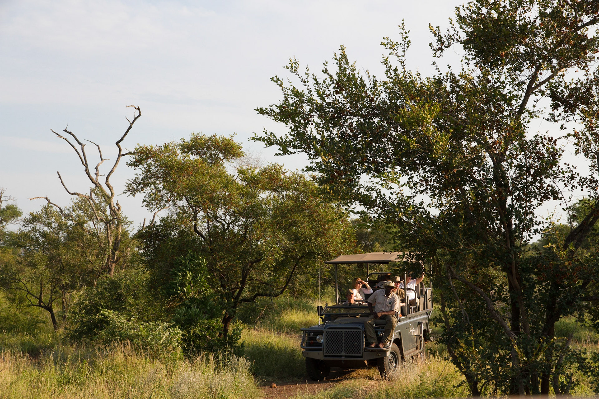 Another Singita vehicle enjoying the elephants