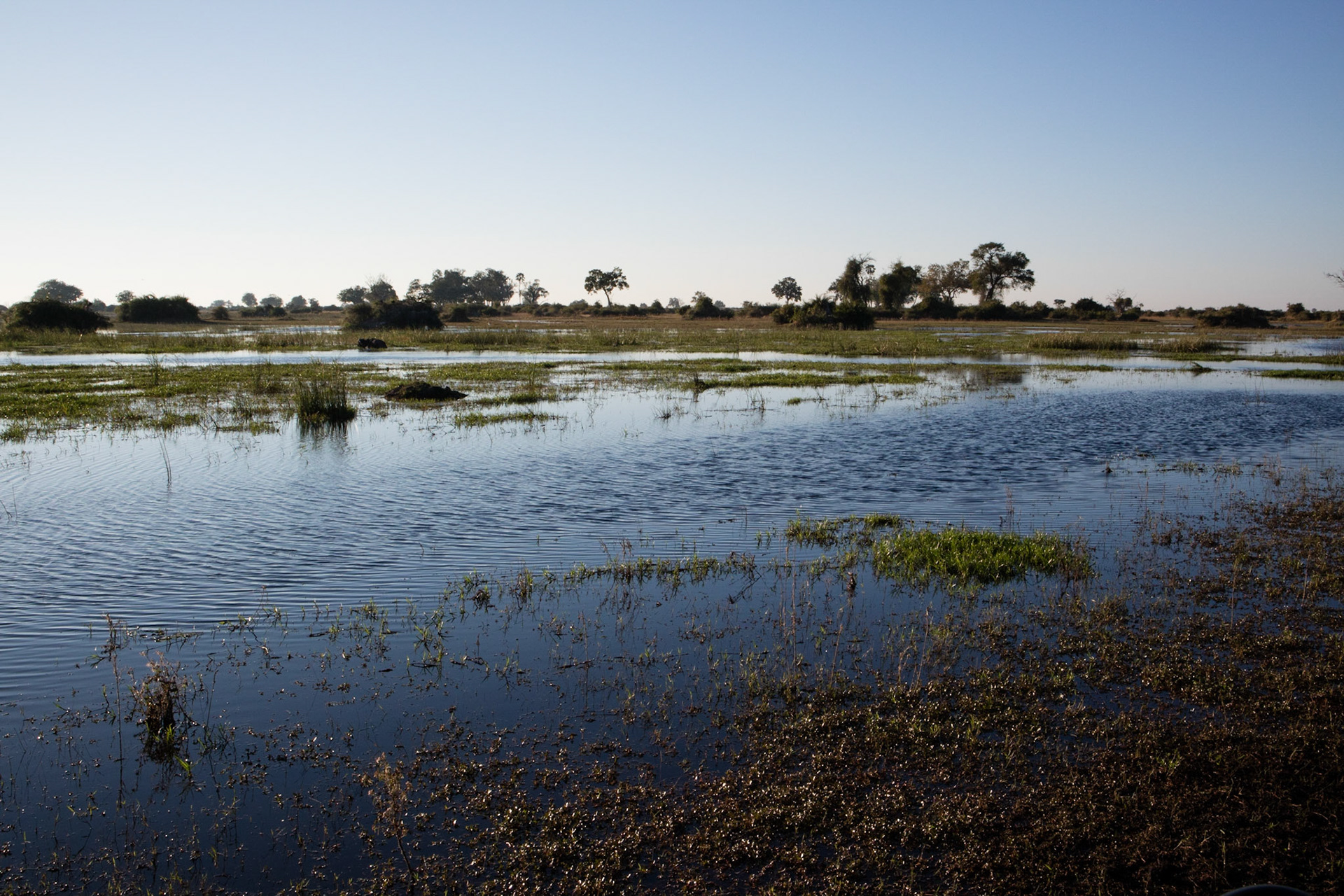 Okavango Delta