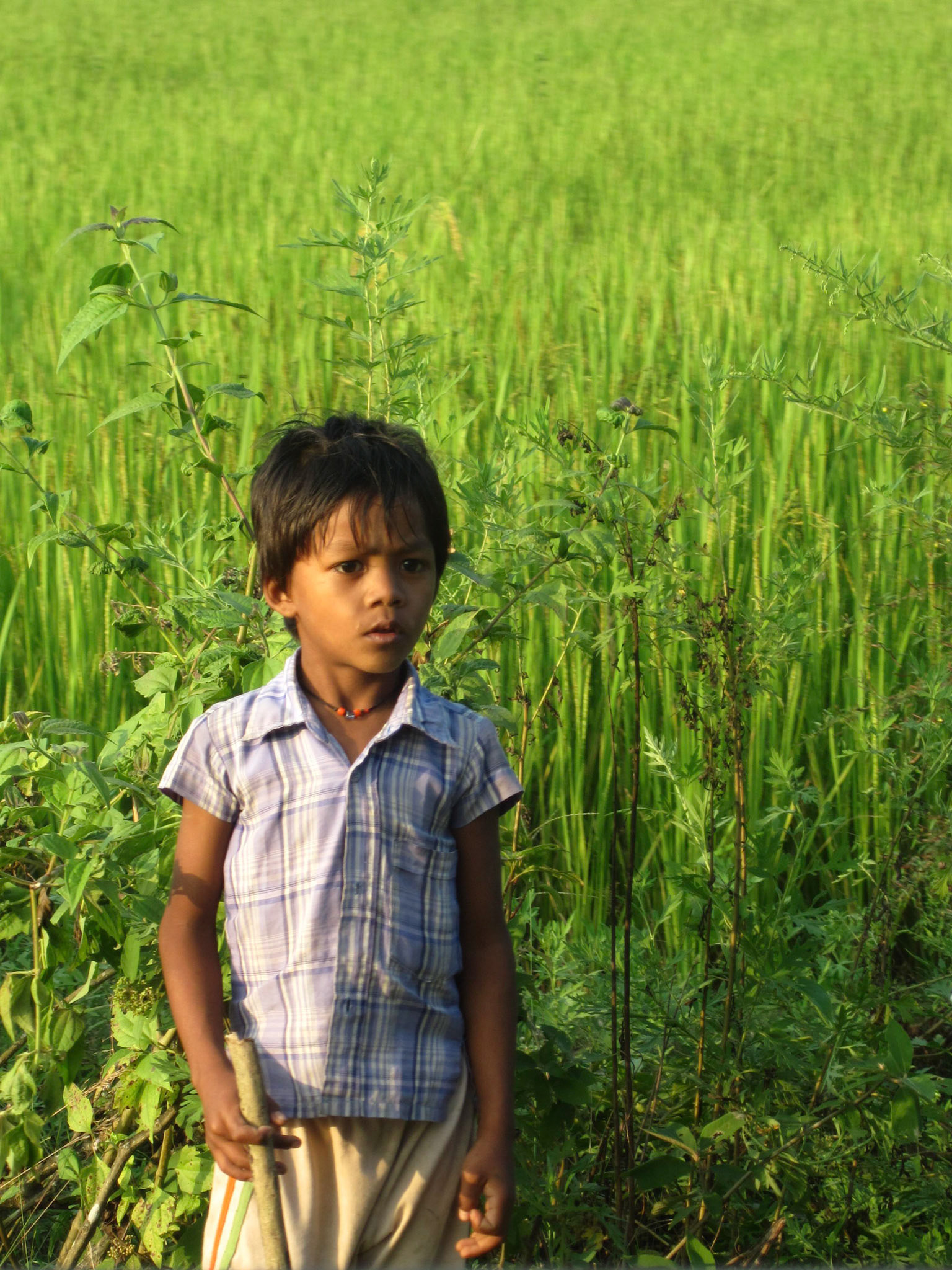 Jamie Cullum look-a-like!