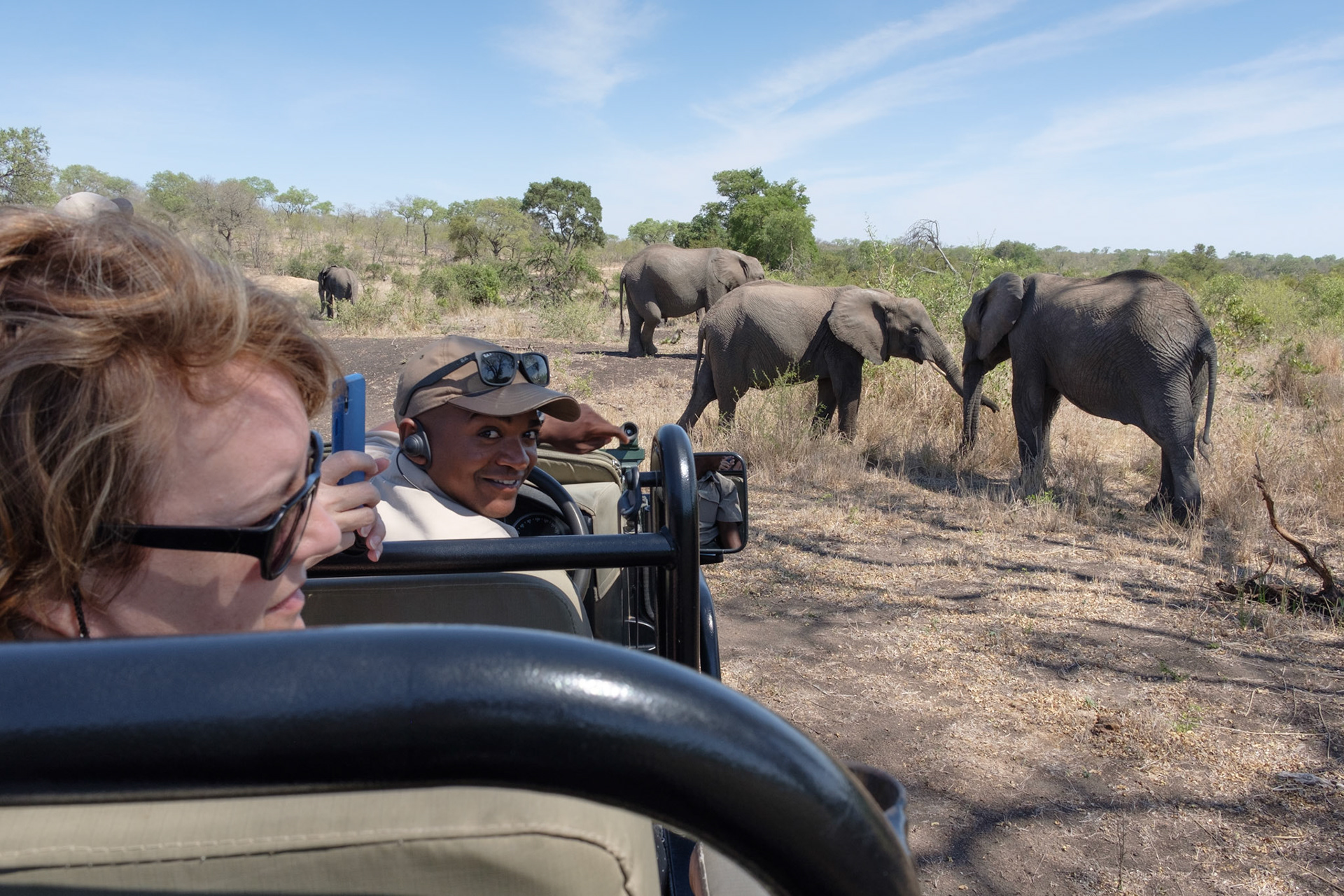 Elephants everywhere!