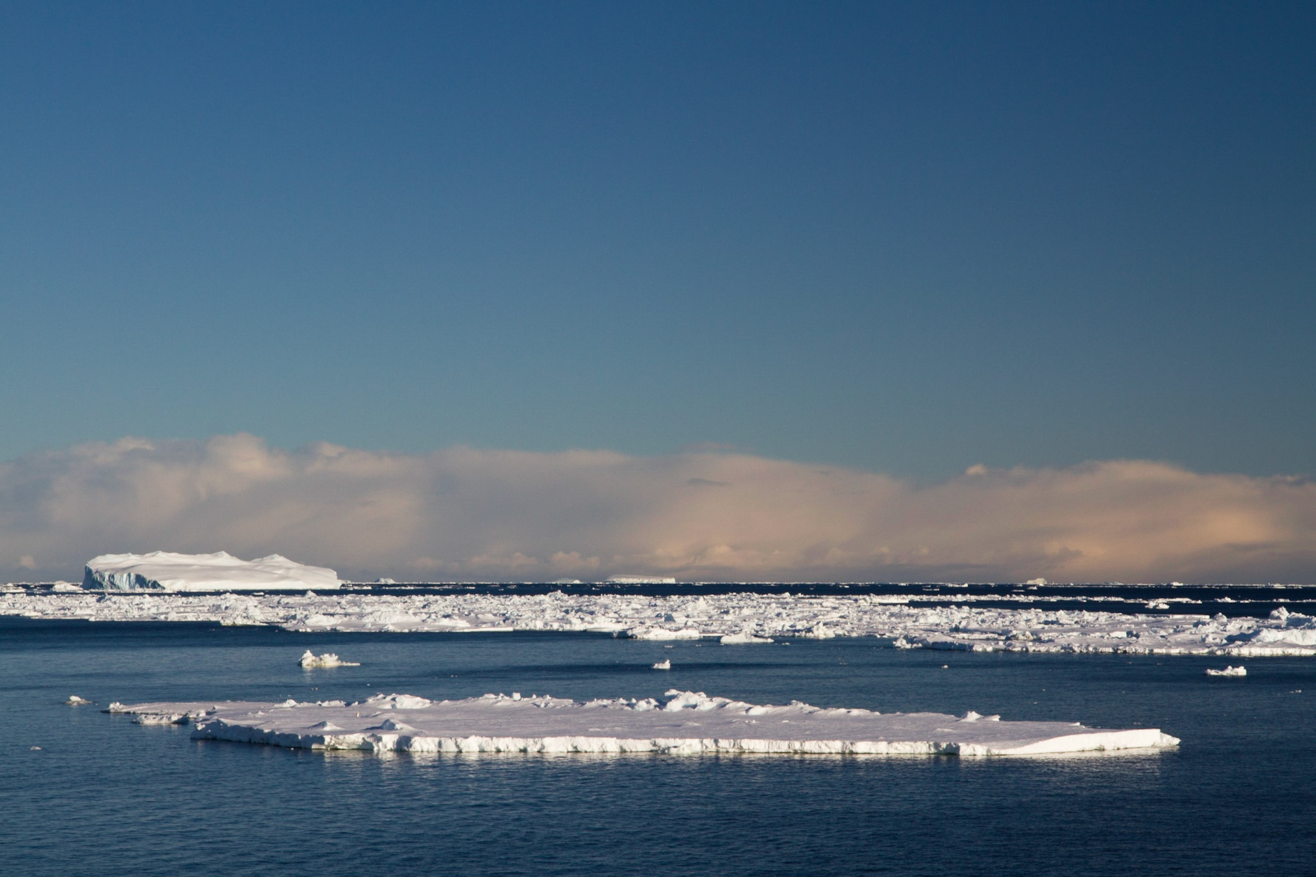 Sea ice early in the morning