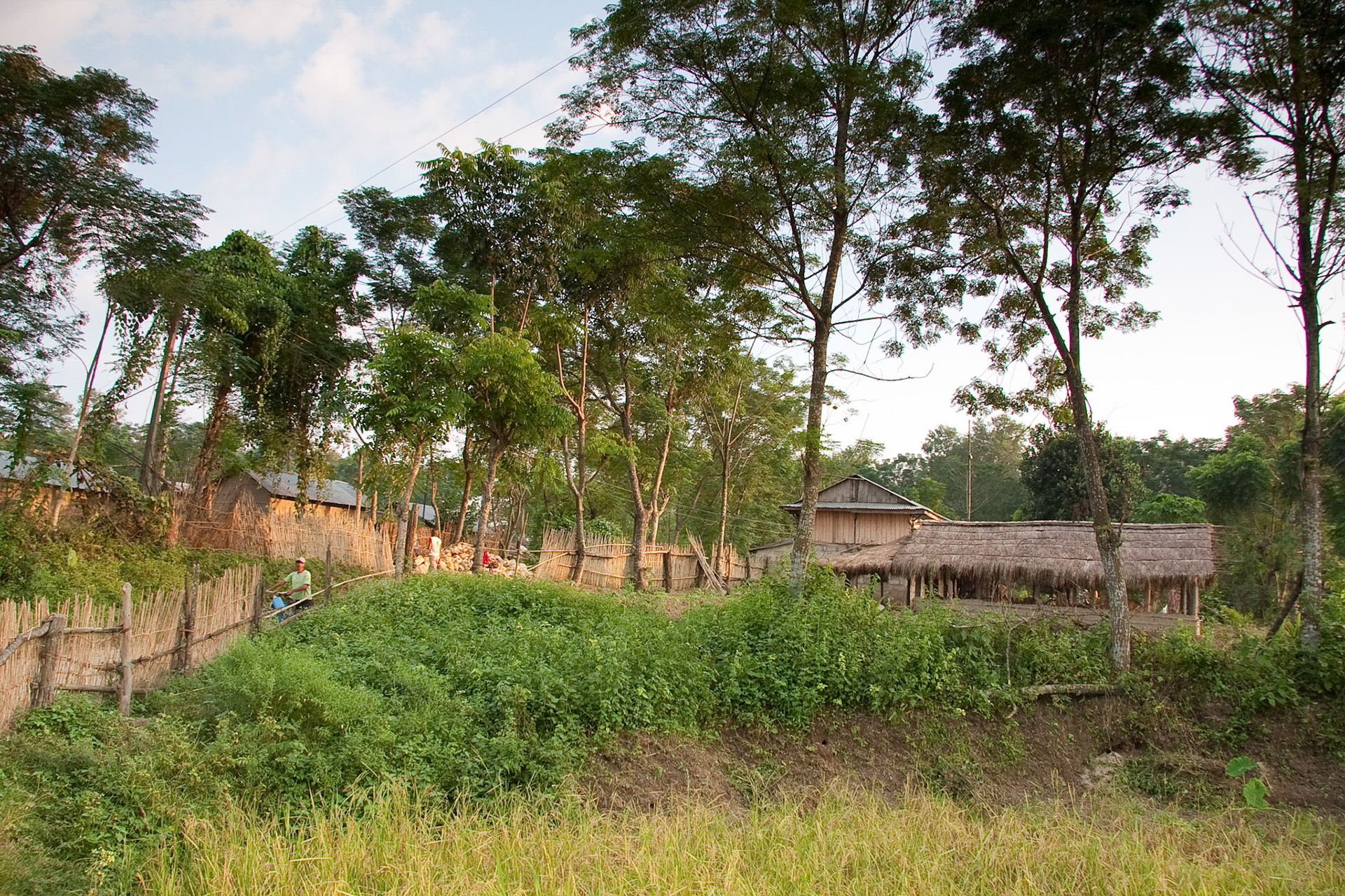 Ox cart ride around the local village from Tharu Lodge
