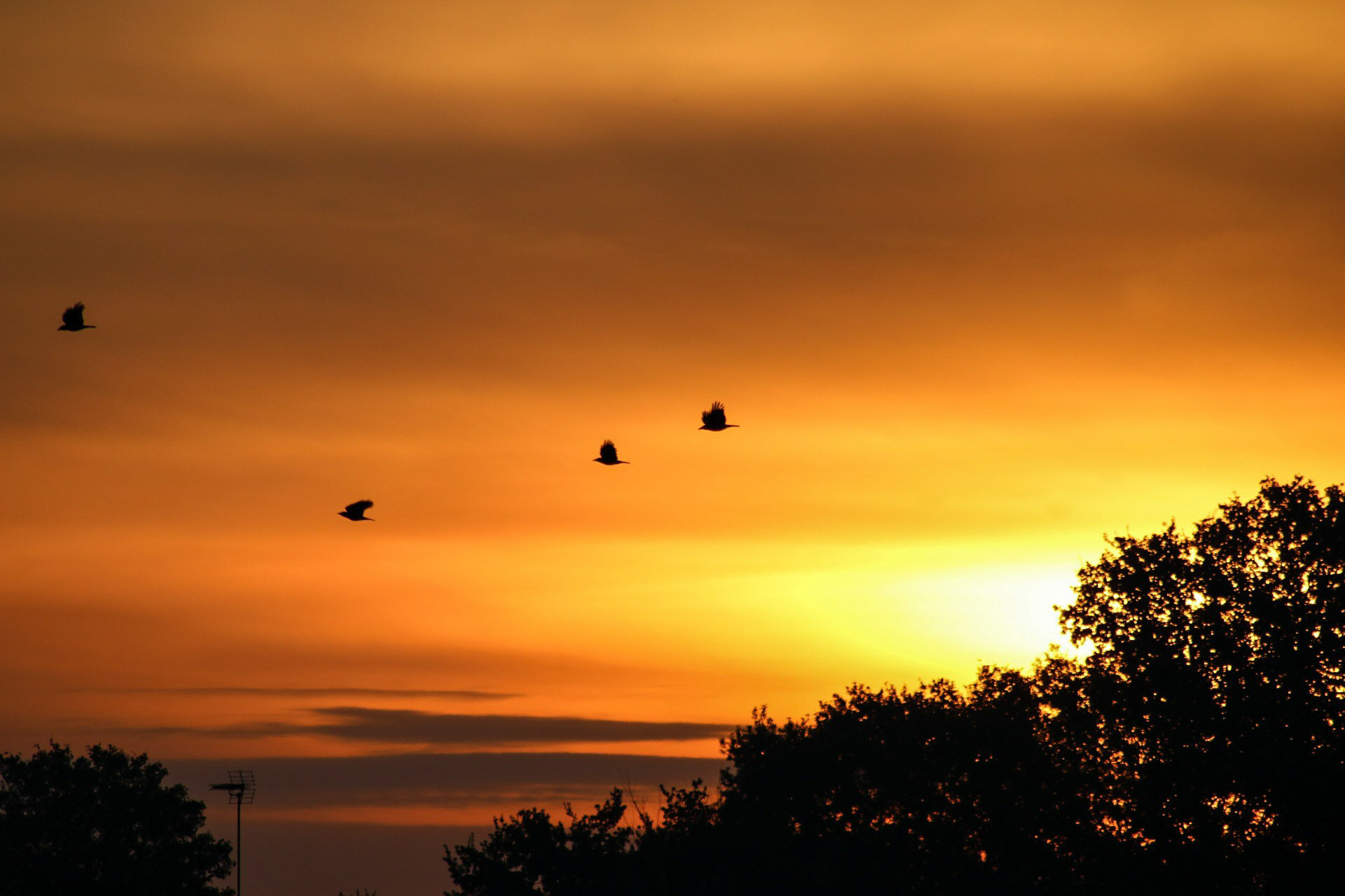 Sunrise in Burgess Hill, West Sussex