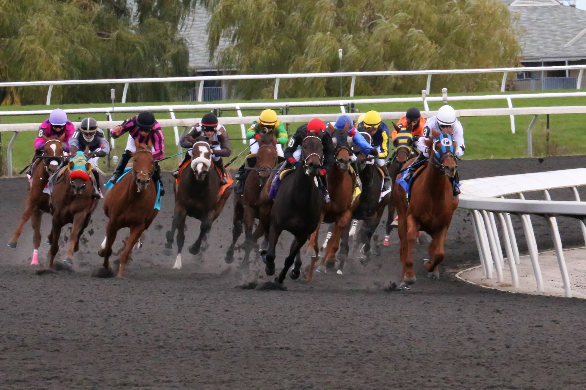 Woodbine, Toronto