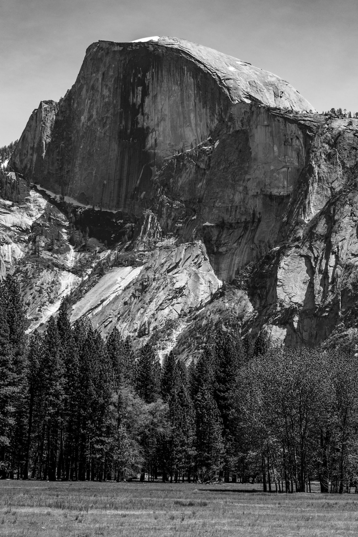 Half Dome B&W