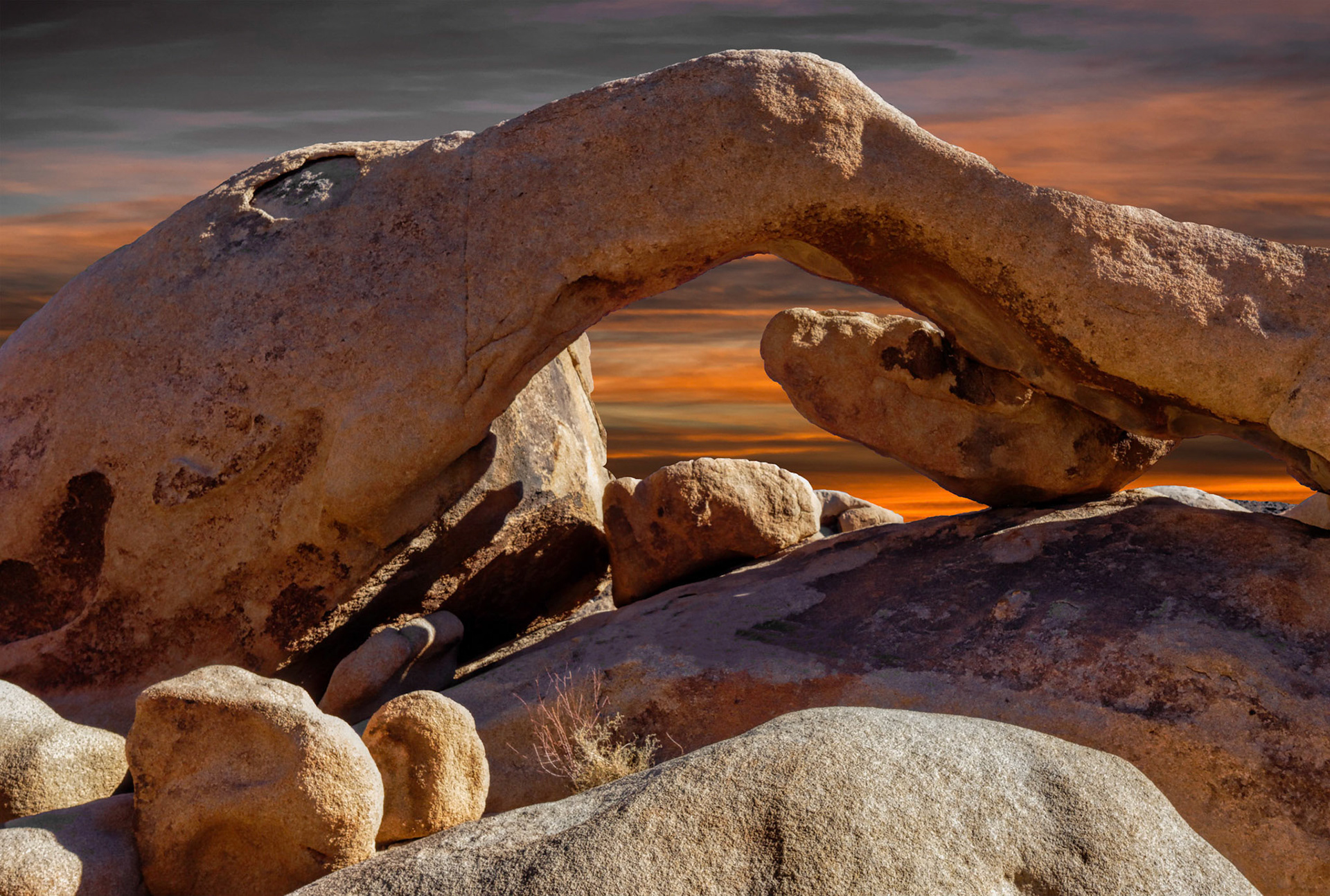 Arch Rock - Joshua Tree